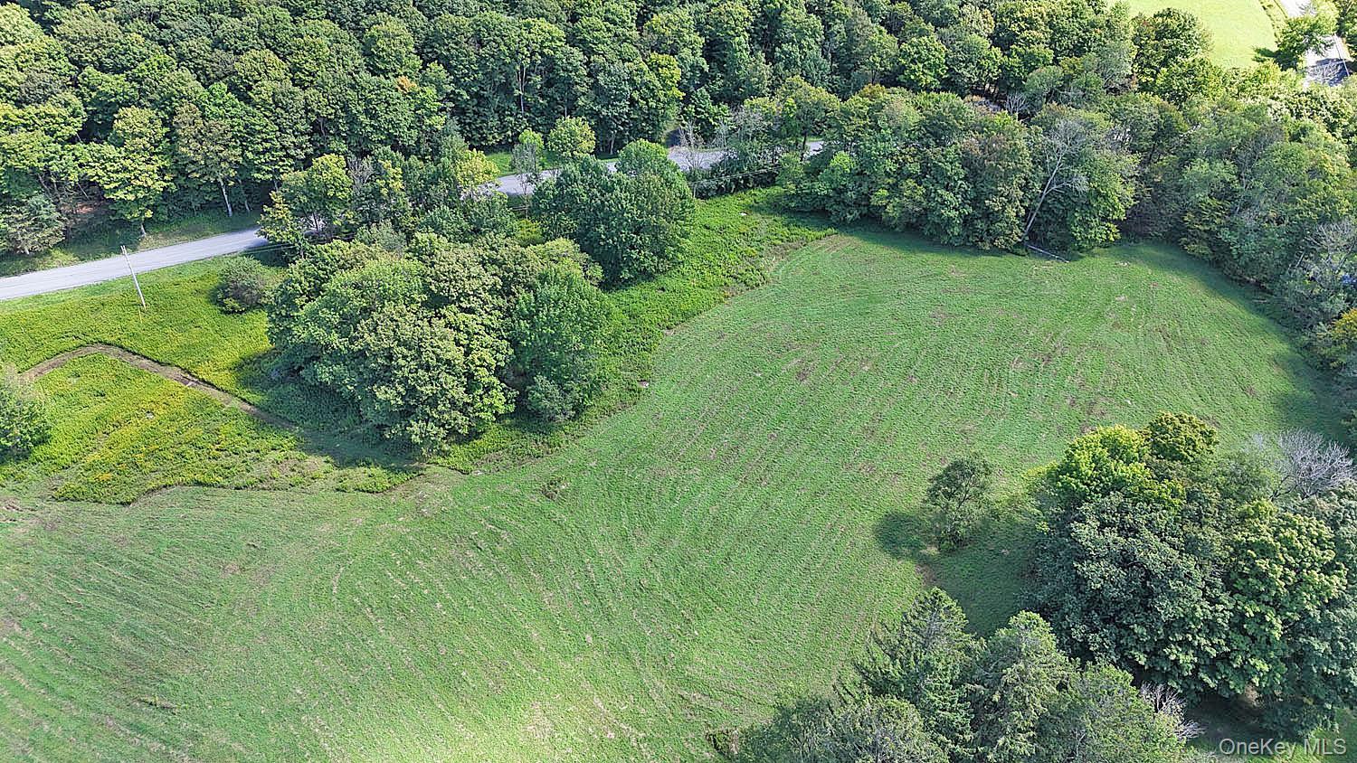 Single Family Klondike Road  Delaware County, NY 13783, MLS-1042908-28