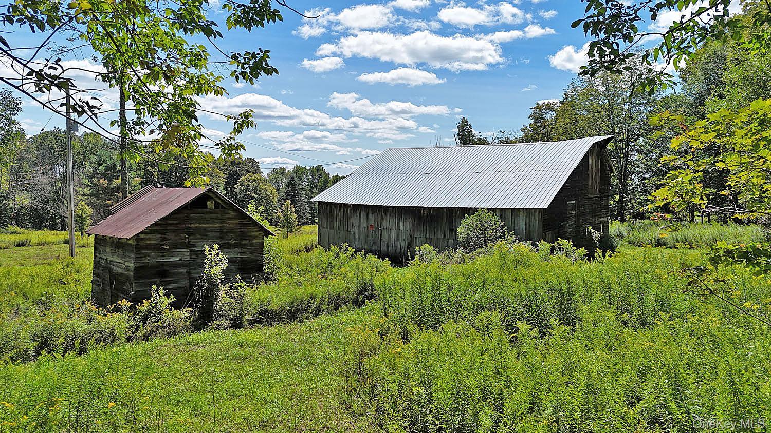 Single Family Klondike Road  Delaware County, NY 13783, MLS-1042908-29