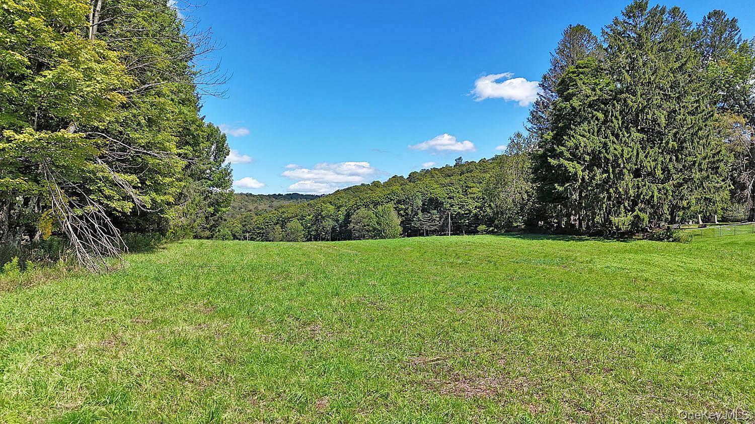 Single Family Klondike Road  Delaware County, NY 13783, MLS-1042908-4