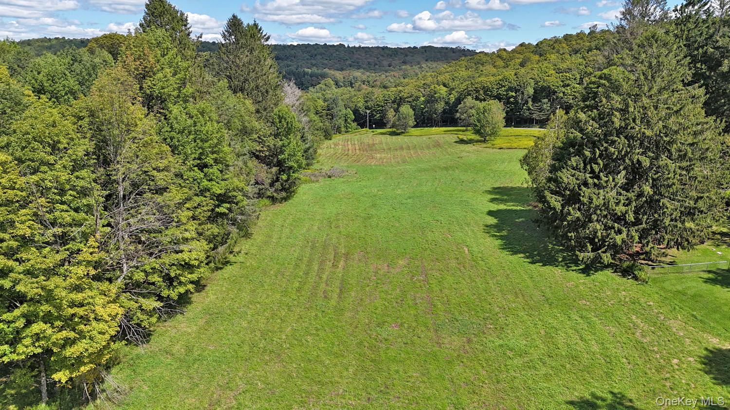 Single Family Klondike Road  Delaware County, NY 13783, MLS-1042908-5