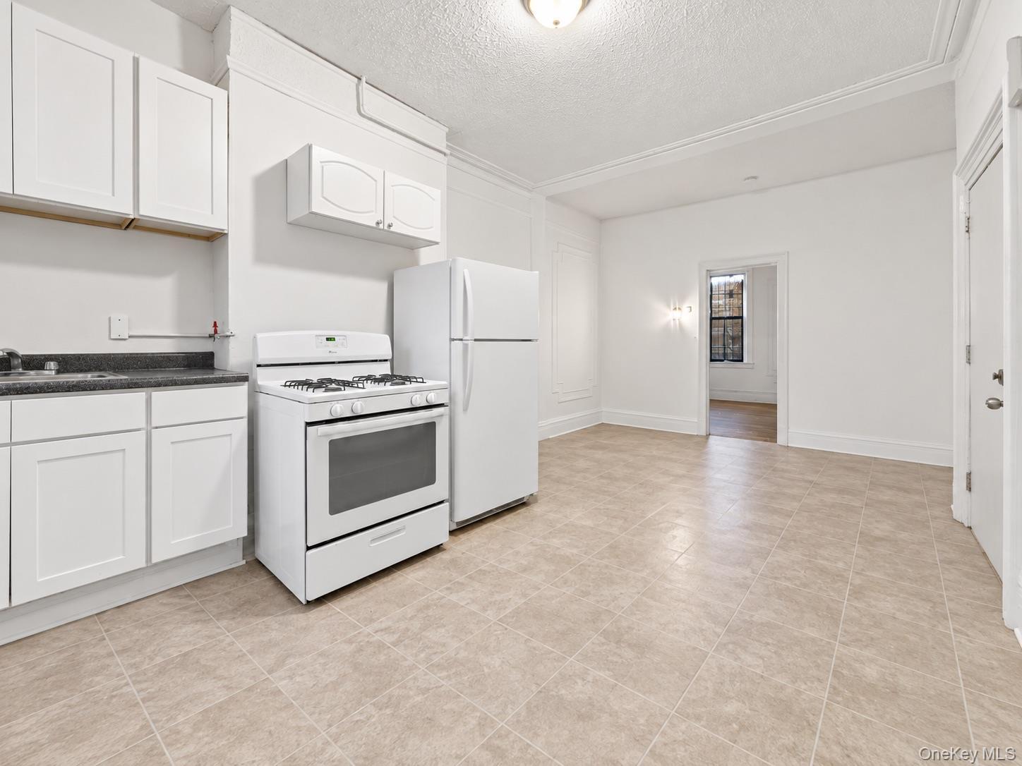 Single Family Dean Street Brooklyn, NY 11233, MLS-1042963-2