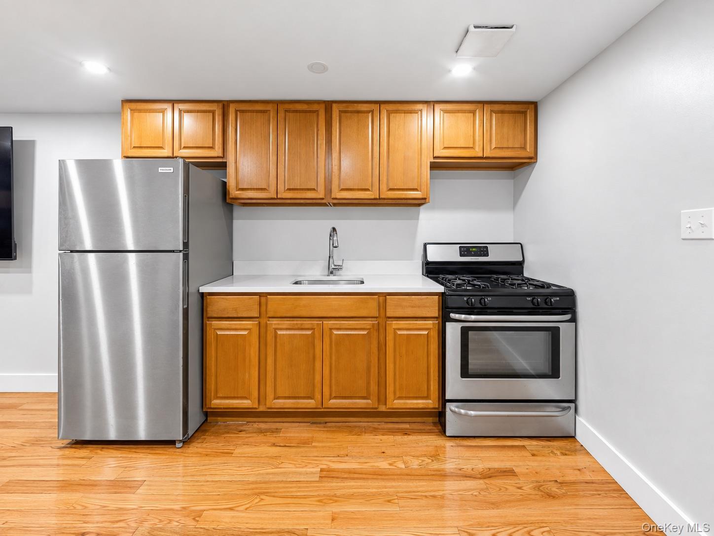 Single Family Dean Street Brooklyn, NY 11233, MLS-1042963-4