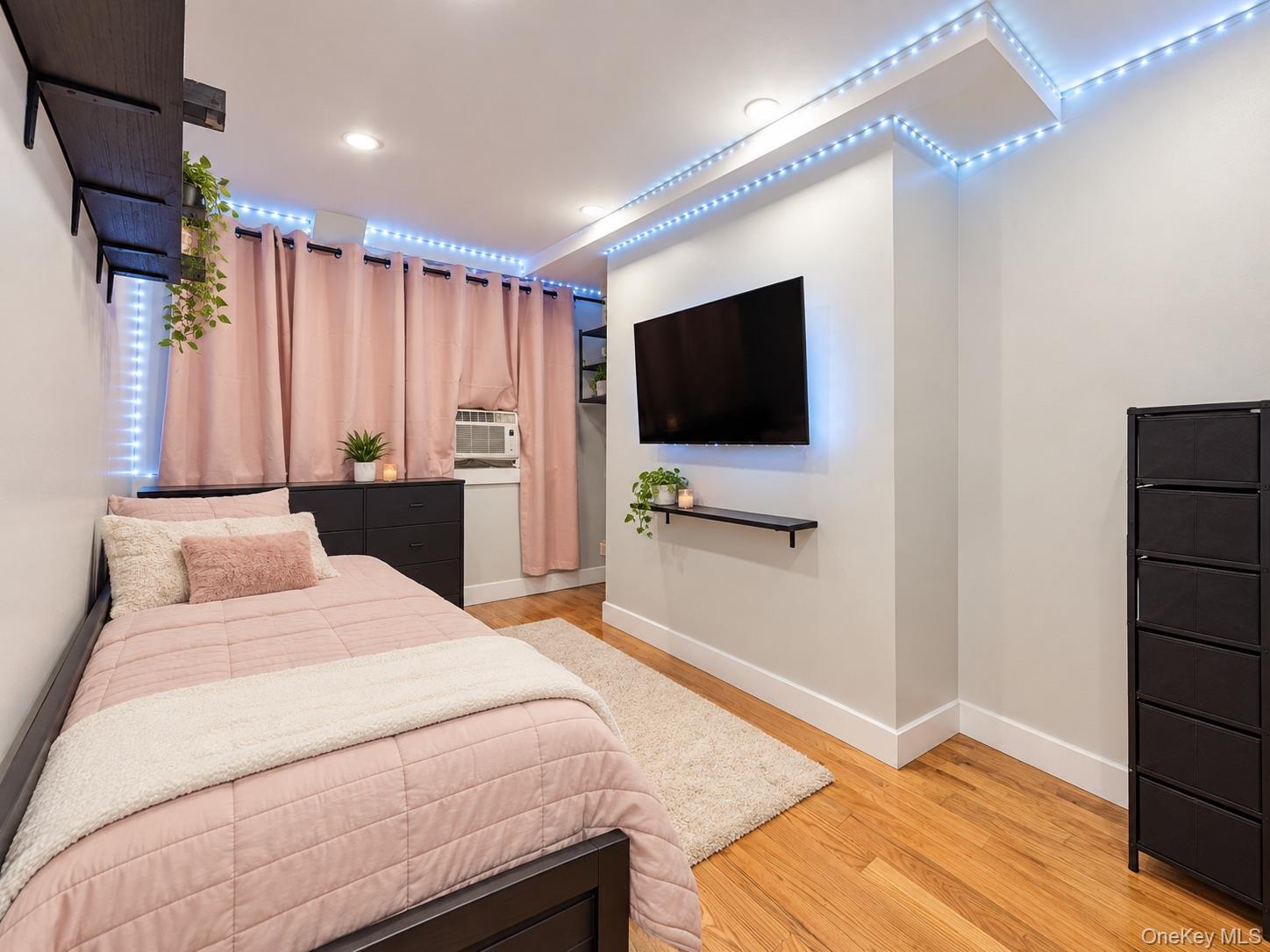 Single Family Dean Street Brooklyn, NY 11233, MLS-1042963-9