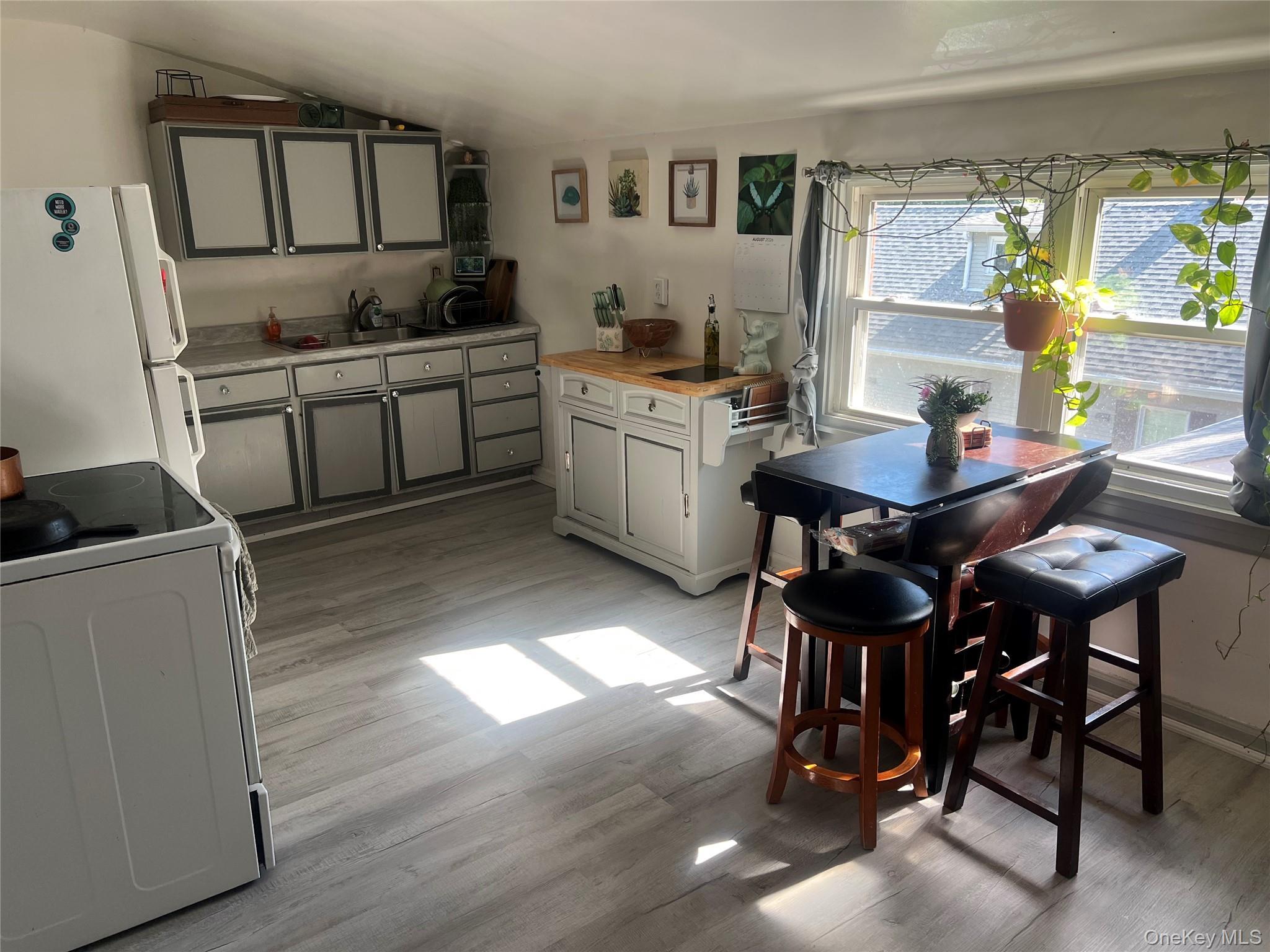 Single Family White Street Orange County, NY 12550, MLS-1043030-5
