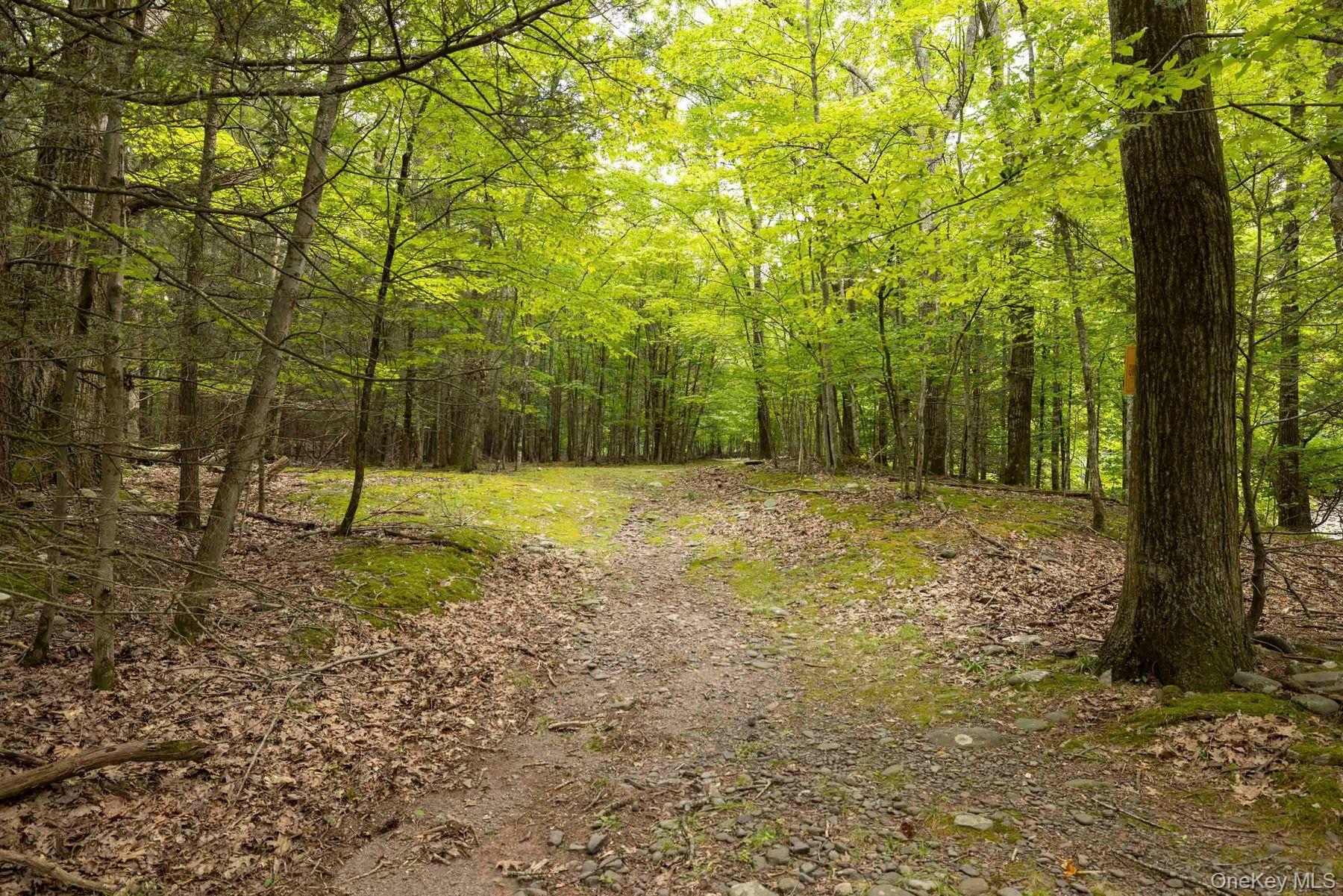 Single Family Woodland Falls Road Ulster County, NY 12477, MLS-1043078-42