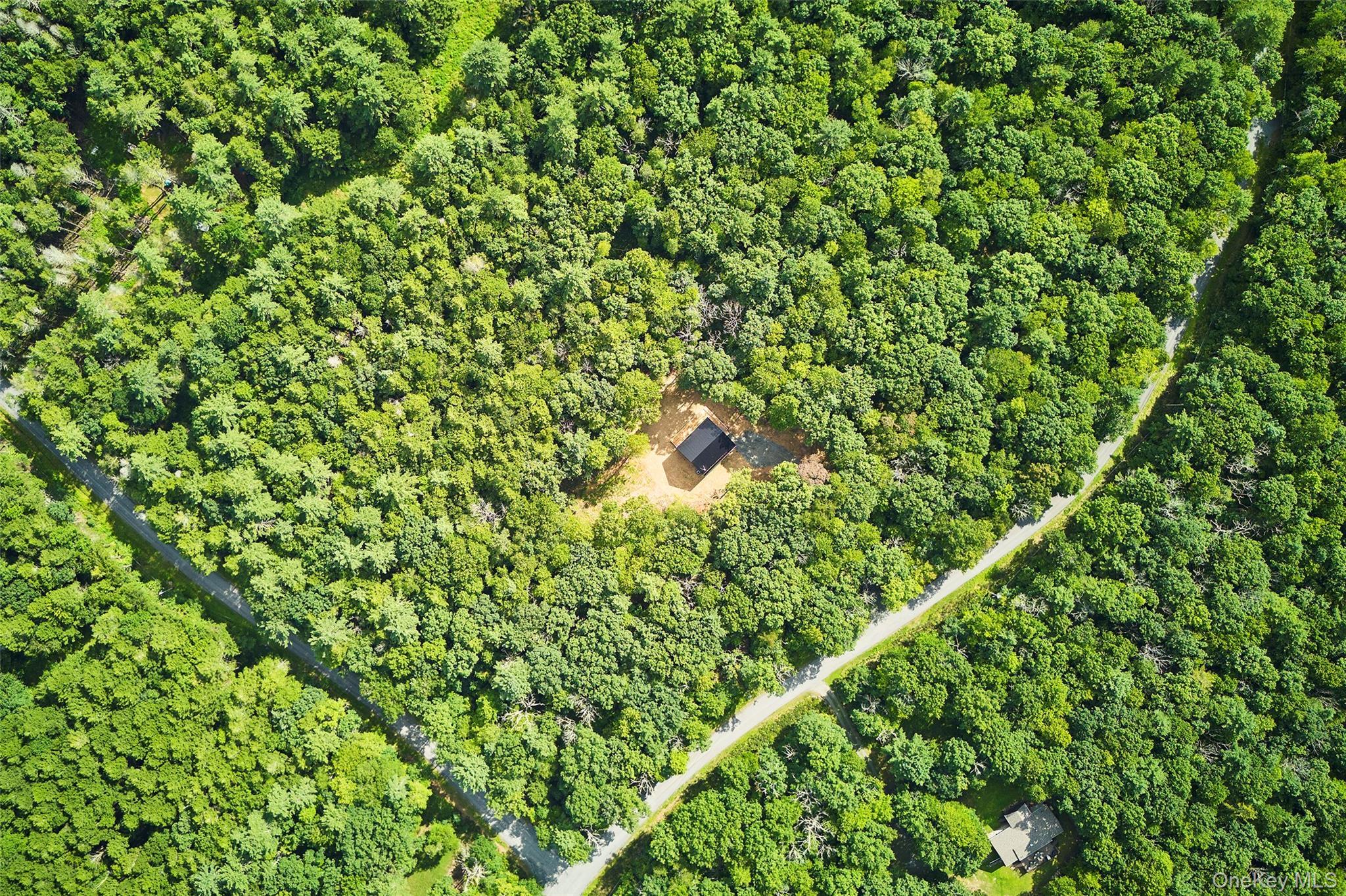 Single Family Brook Drive Sullivan County, NY 12764, MLS-1043179-38