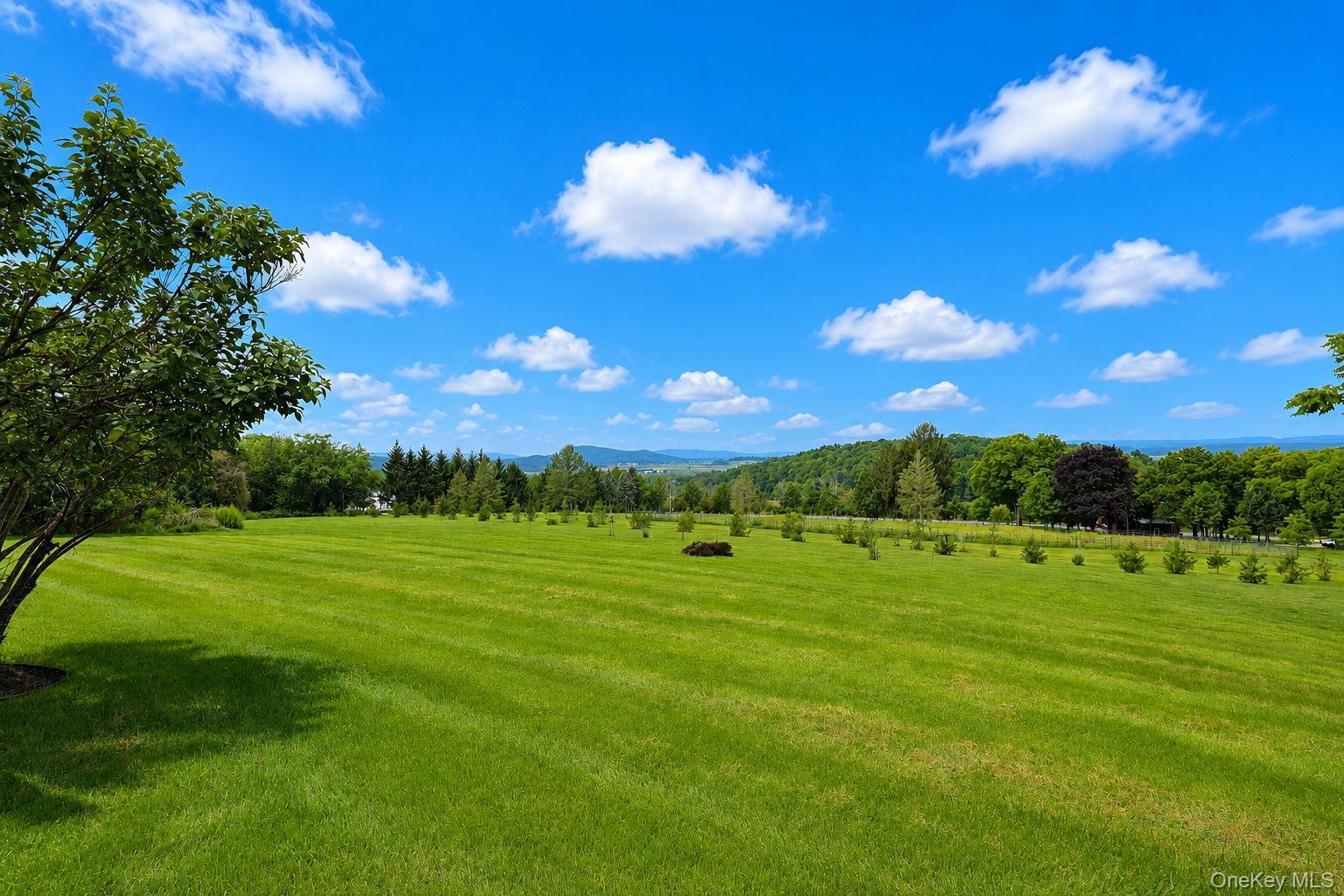 Single Family Spruce Hill Lane Orange County, NY 10924, MLS-1043187-6