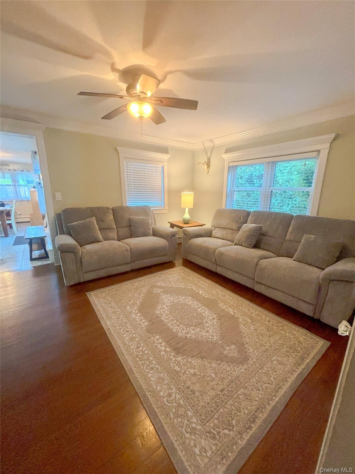 Single Family Lake Ave  Suffolk County, NY 11934, MLS-1043203-3