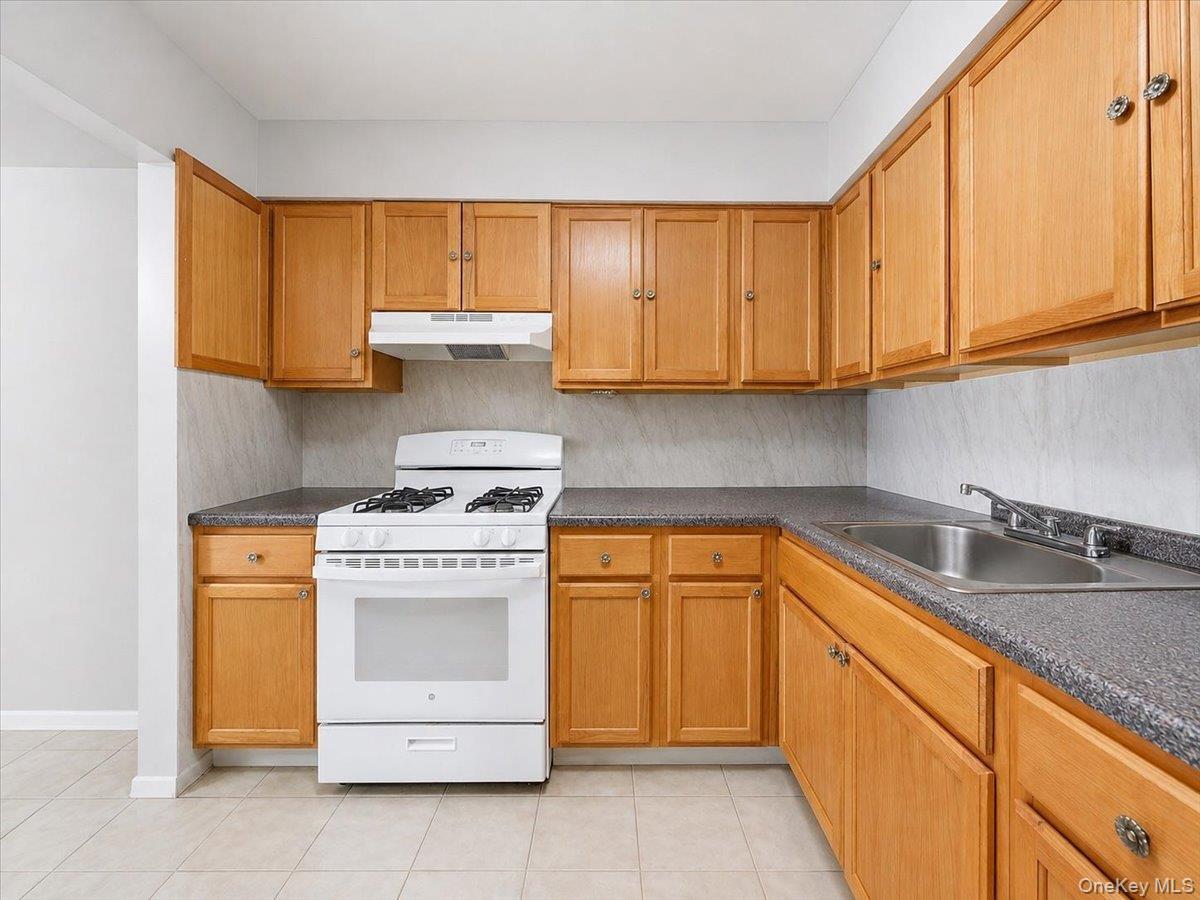 Single Family Boller Avenue Bronx, NY 10466, MLS-1043226-9