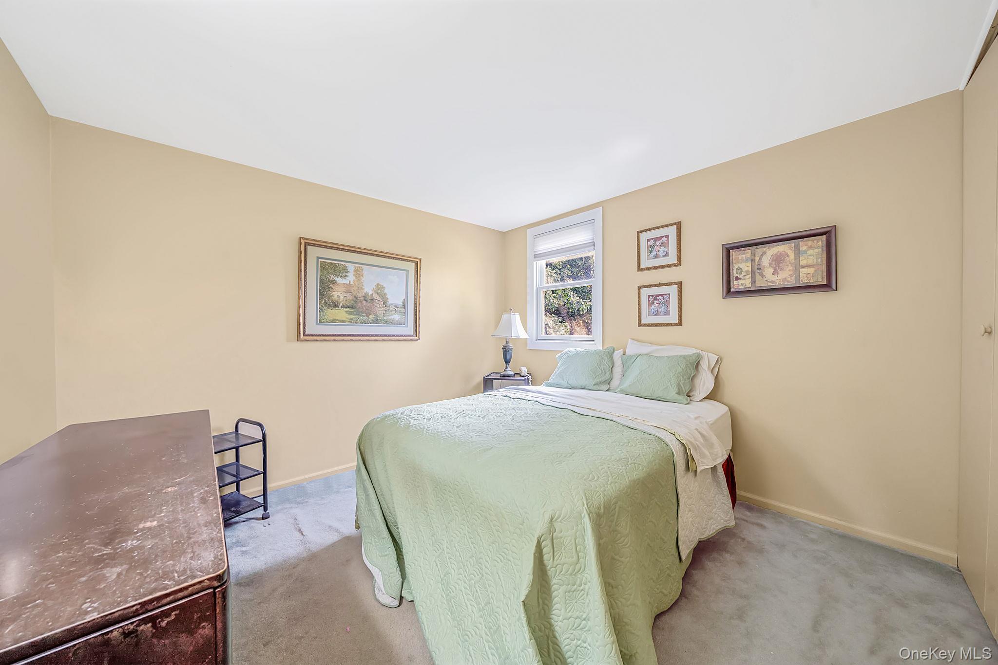 Single Family Walton Street Suffolk County, NY 11717, MLS-1043239-10