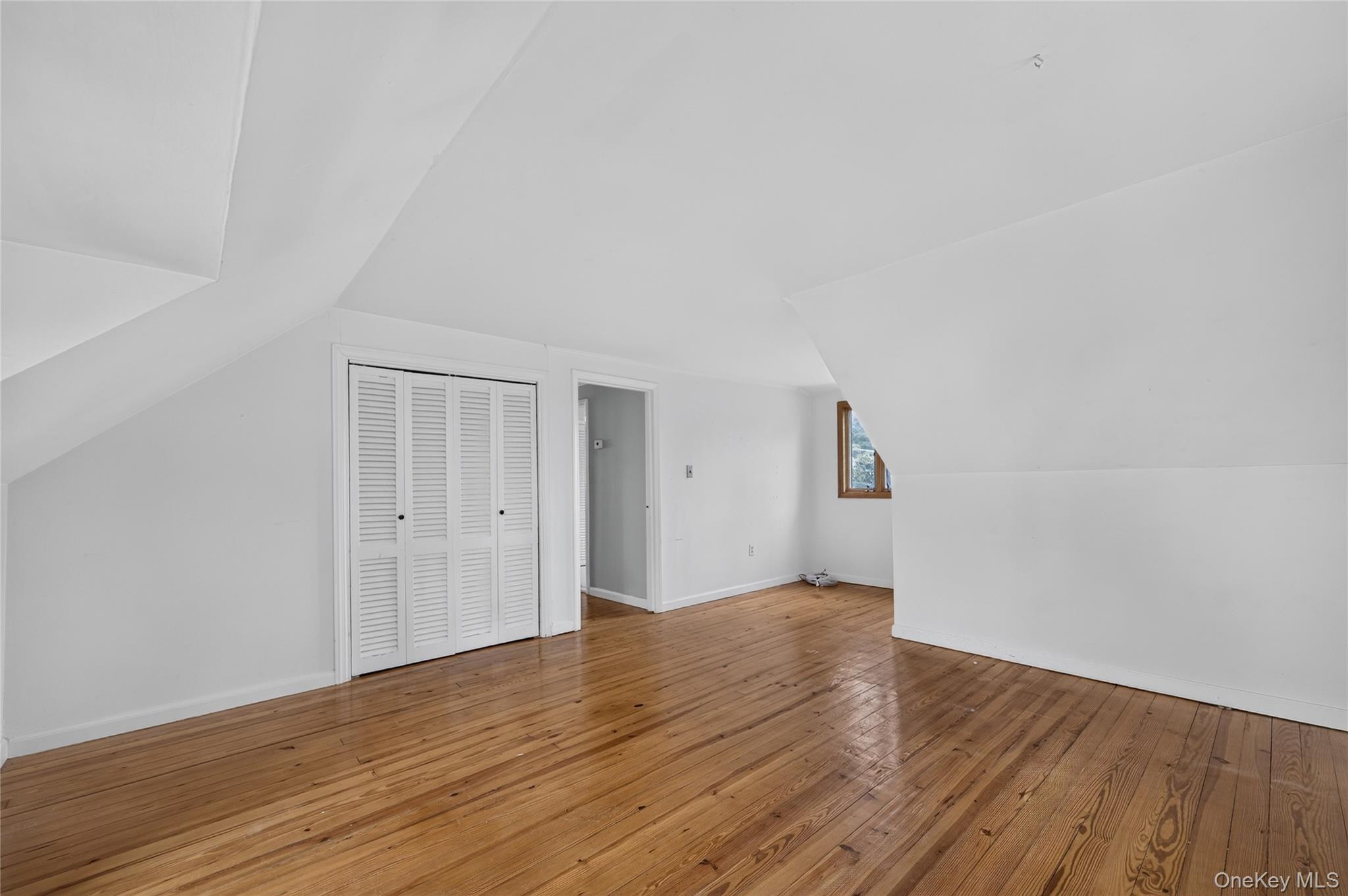 Single Family Longwood Avenue  Nassau County, NY 11590, MLS-1043253-29