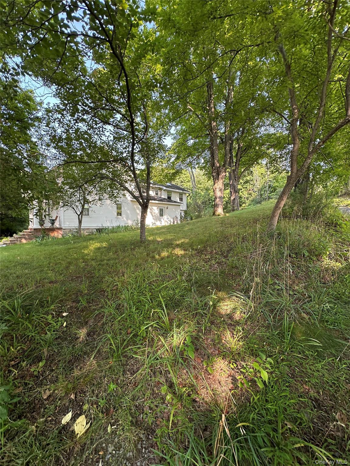 Single Family Blooms Corners Road Orange County, NY 10990, MLS-1043255-30