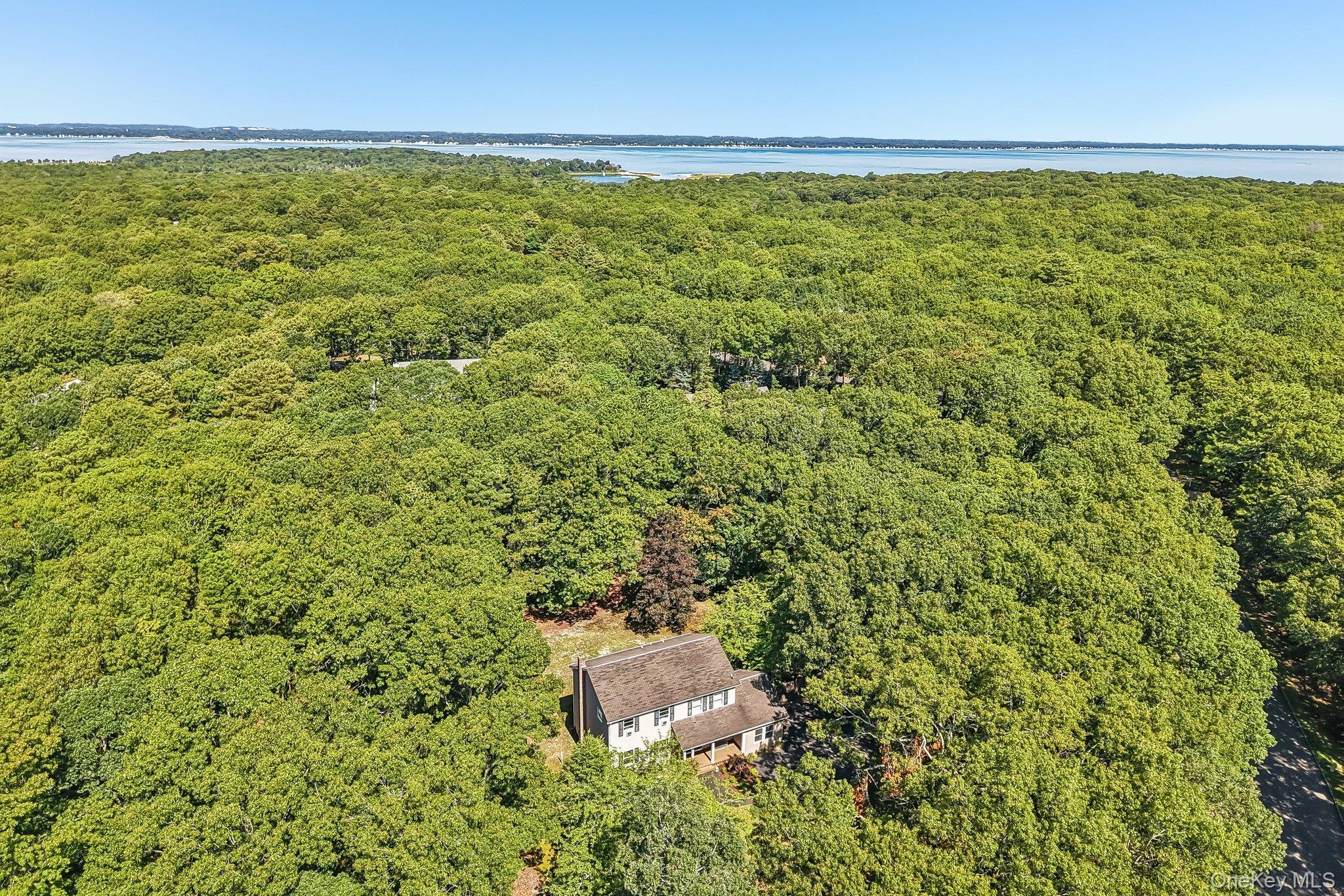 Single Family Wooded Lane Suffolk County, NY 11946, MLS-1043324-38