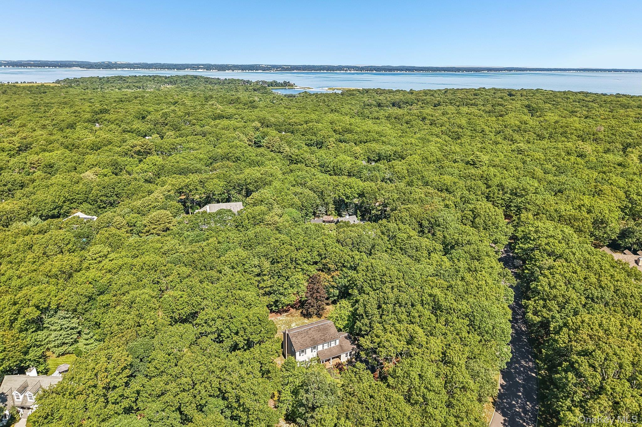 Single Family Wooded Lane Suffolk County, NY 11946, MLS-1043324-39