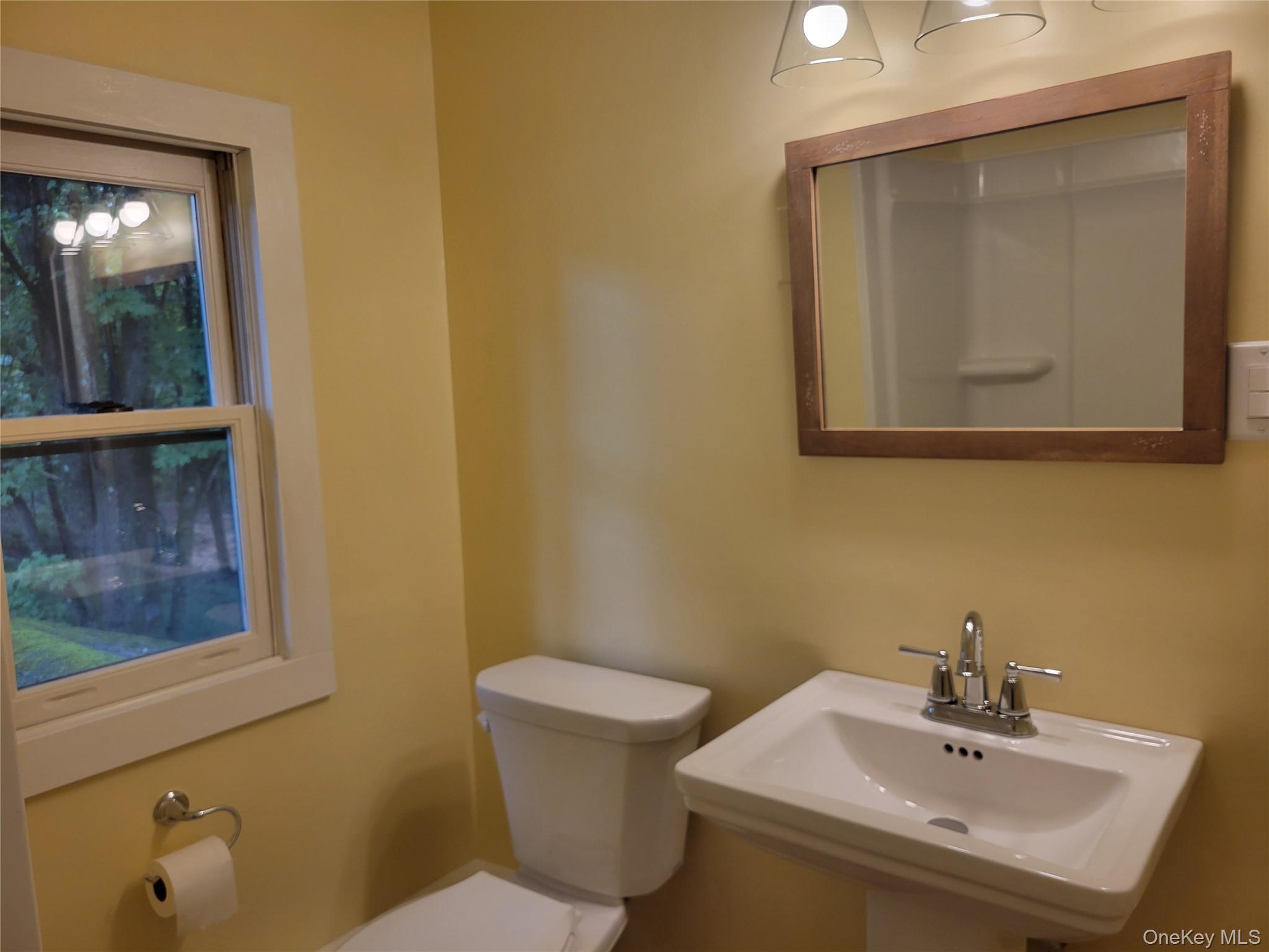 Single Family Salt Point Turnpike  Dutchess County, NY 12569, MLS-1043346-16