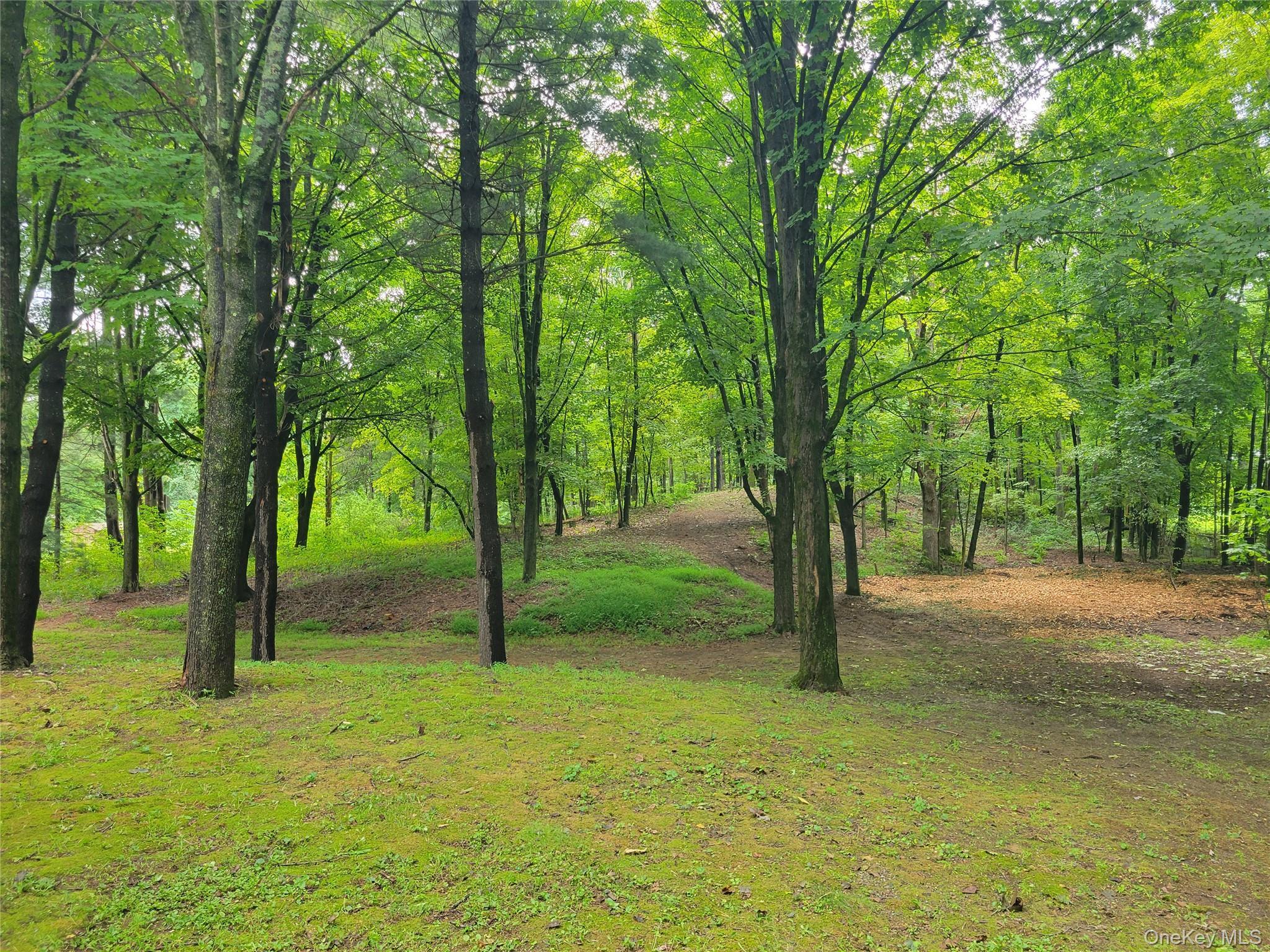 Single Family Salt Point Turnpike  Dutchess County, NY 12569, MLS-1043346-29