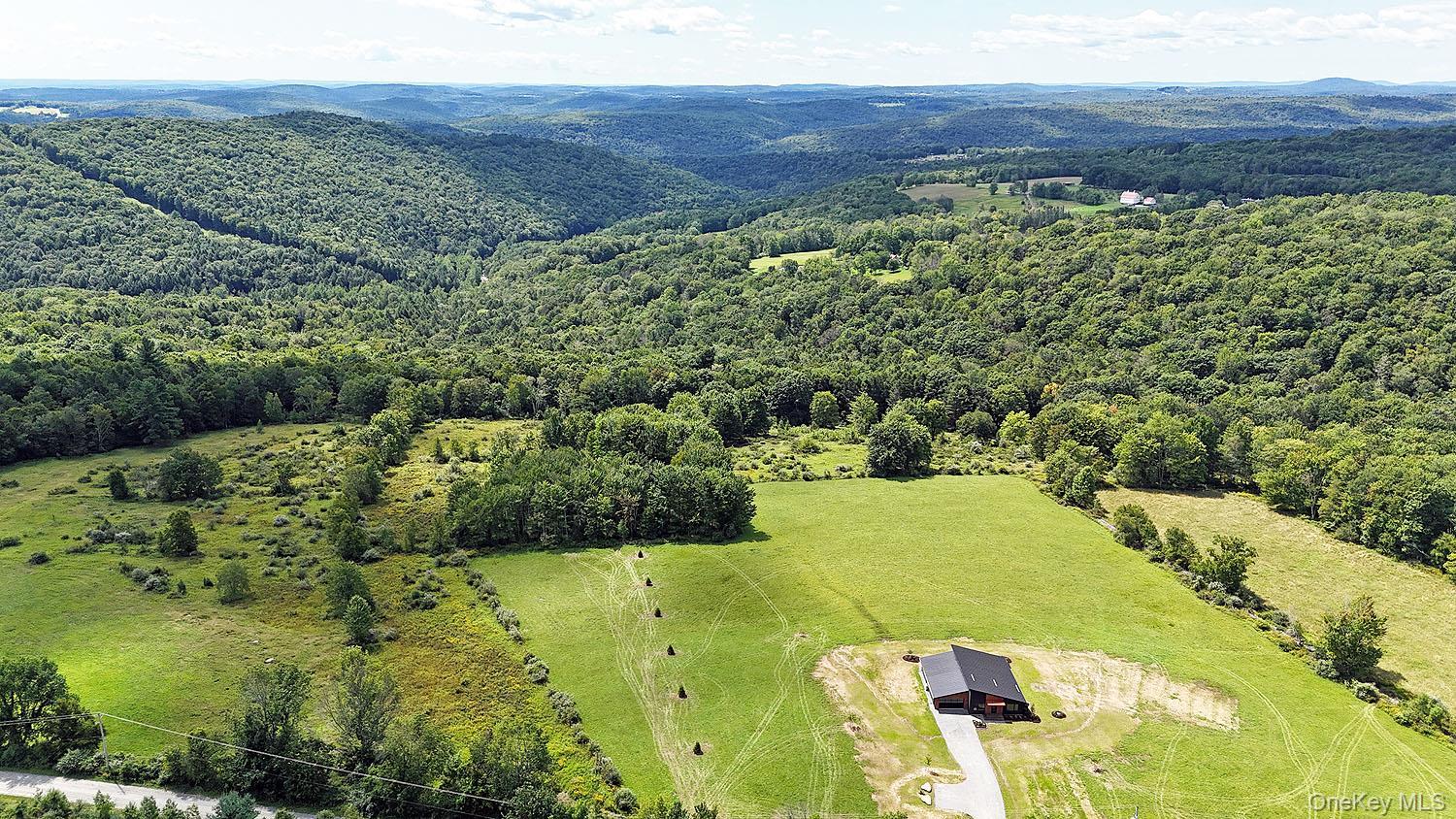 Single Family Henderson Road  Sullivan County, NY 12736, MLS-1043381-4