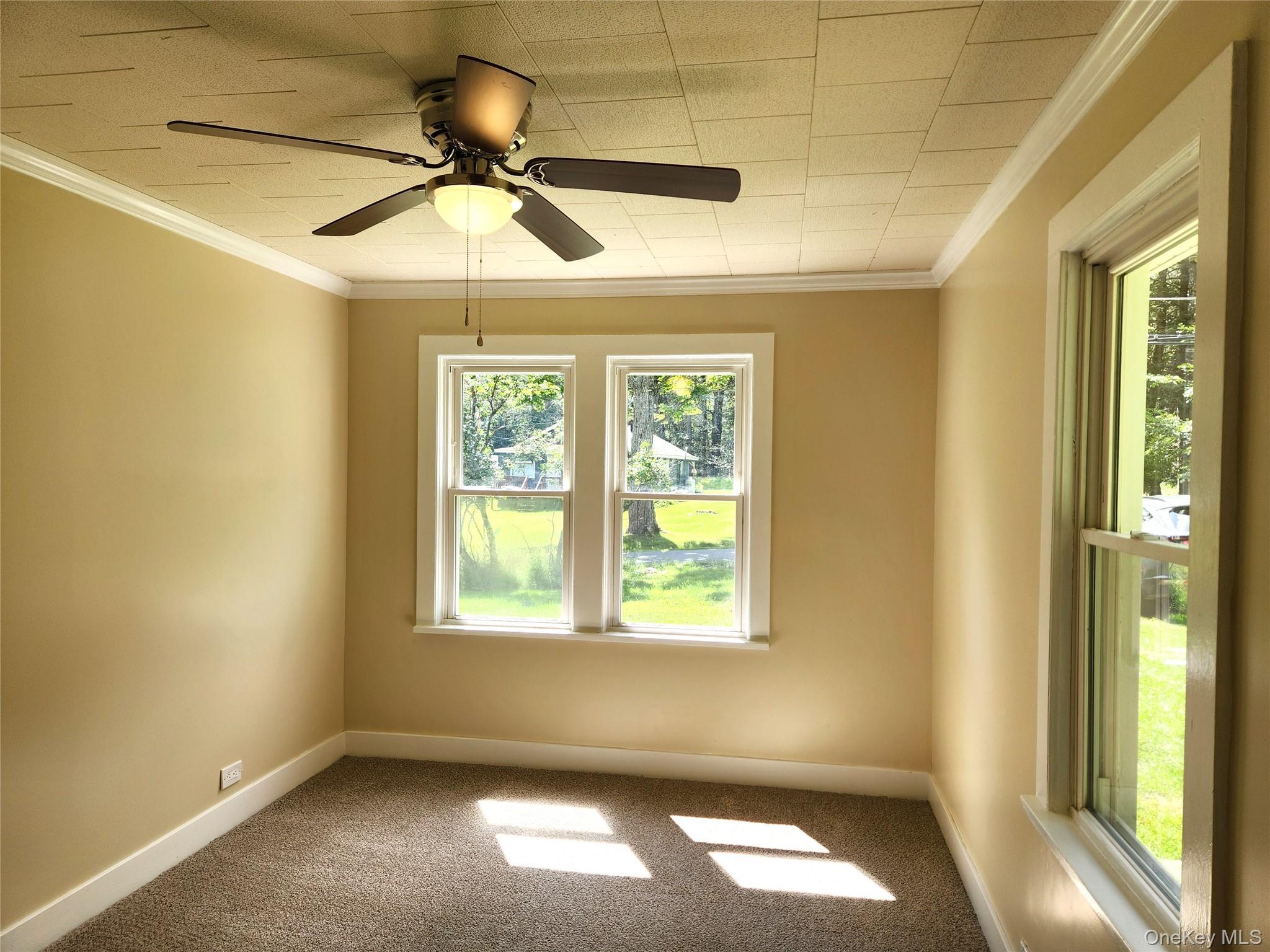 Single Family Sgt Andrew Brucher Road Sullivan County, NY 12778, MLS-1043392-12