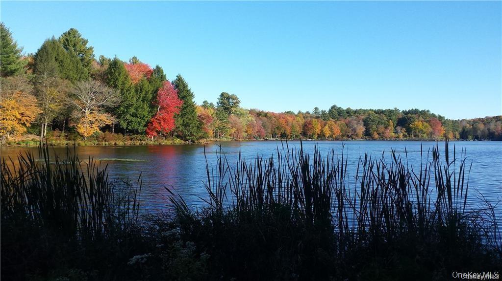 Single Family Sgt Andrew Brucher Road Sullivan County, NY 12778, MLS-1043392-26