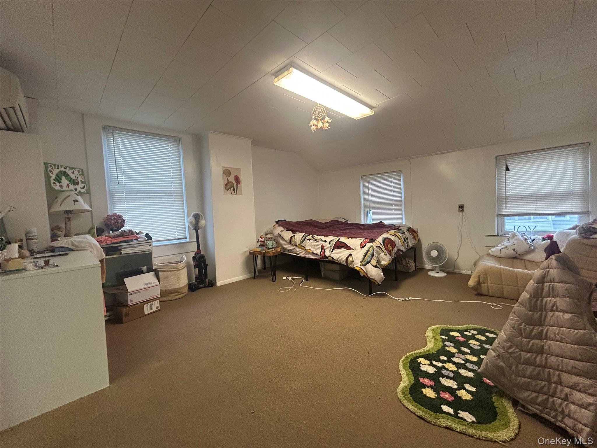 Single Family Hoffman Street  Dutchess County, NY 12601, MLS-1043393-7