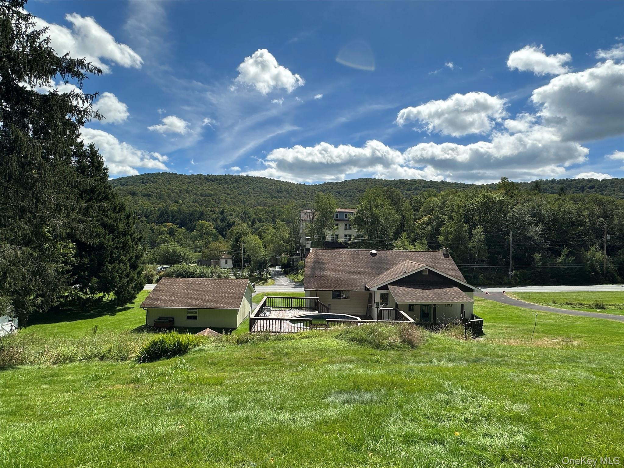 Single Family Debruce Road  Sullivan County, NY 12758, MLS-1043419-11