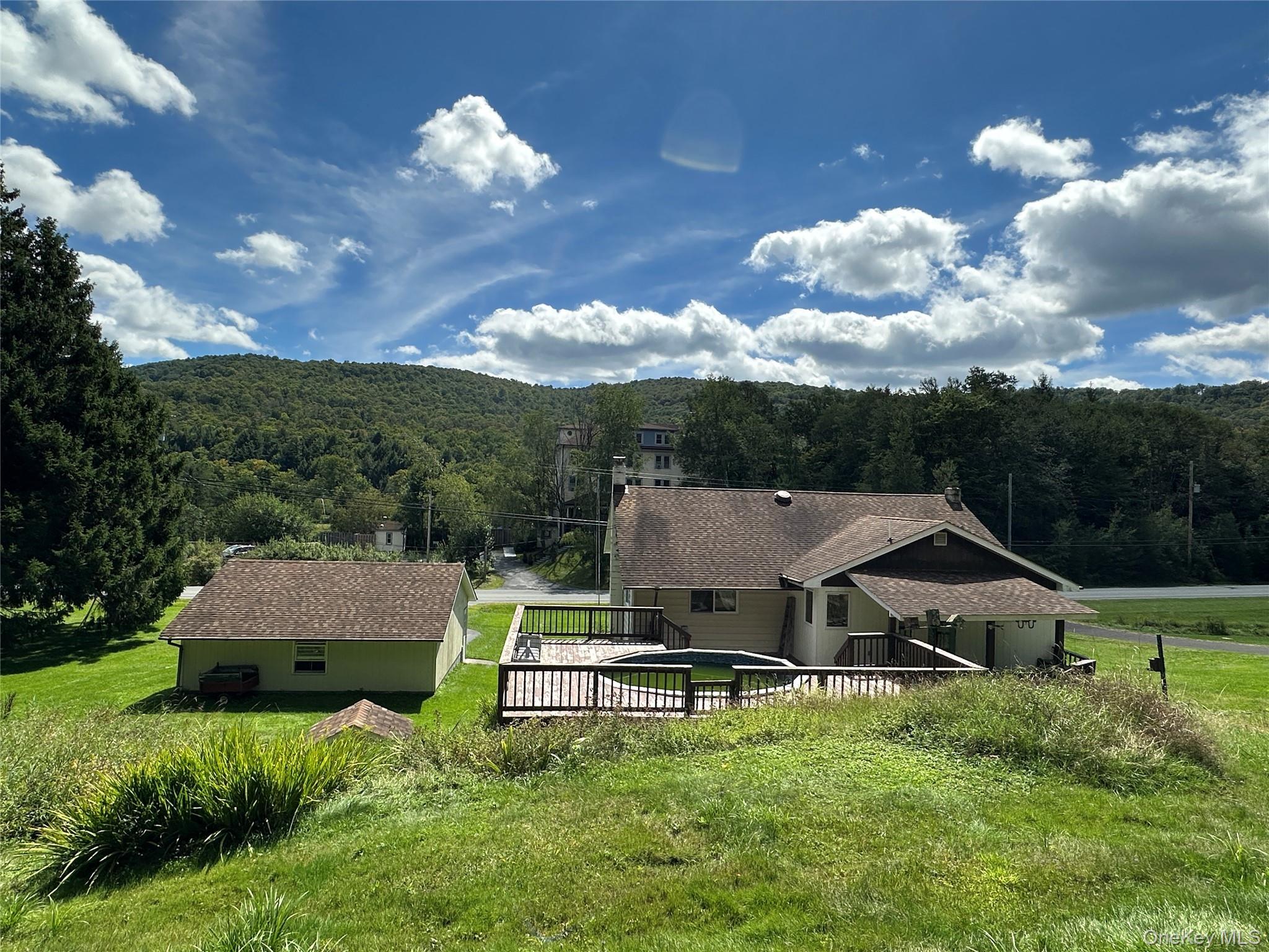 Single Family Debruce Road  Sullivan County, NY 12758, MLS-1043419-2