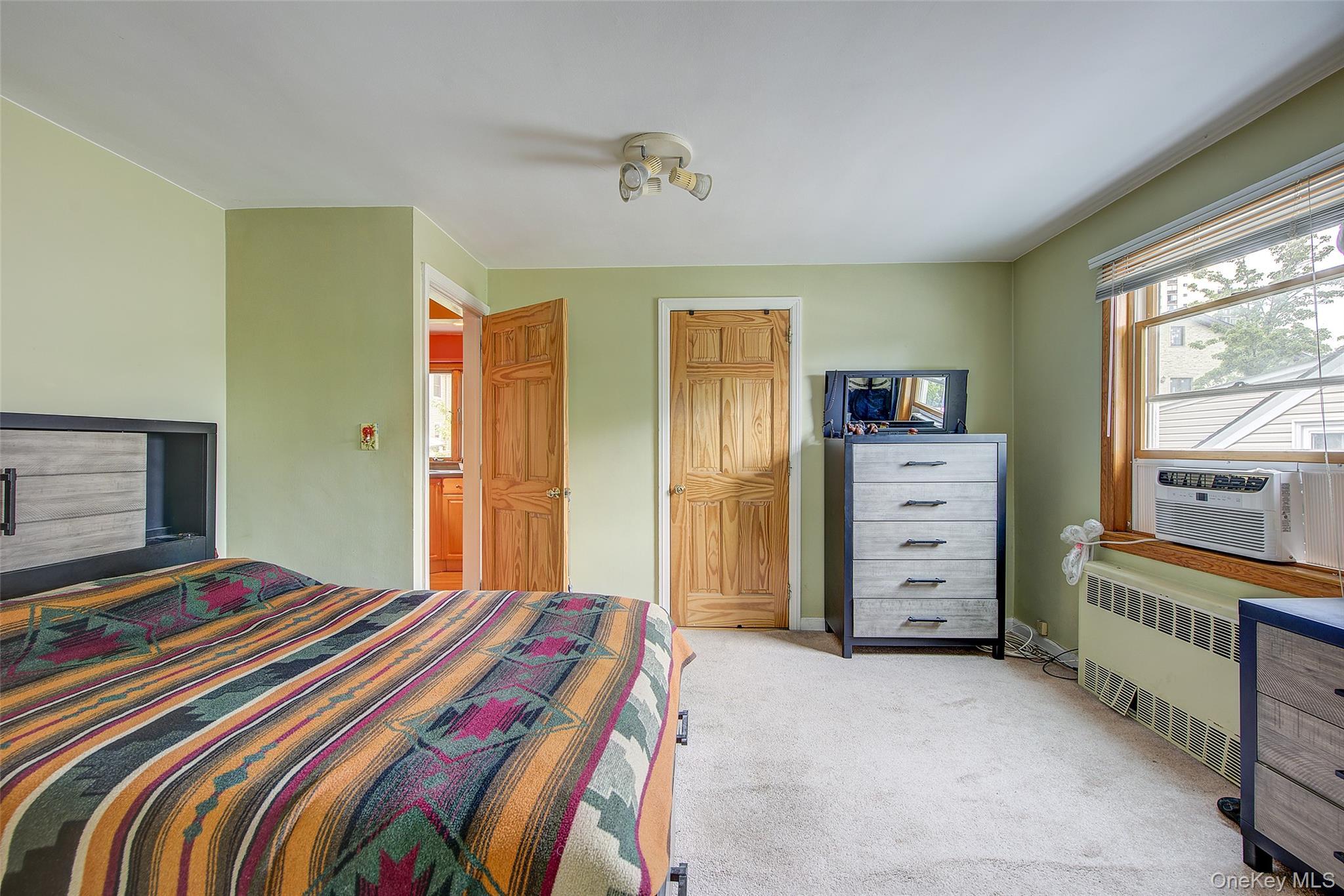 Single Family 210th Place Queens, NY 11360, MLS-1043442-31