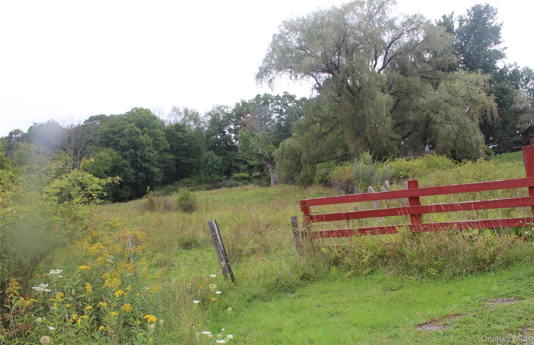 Single Family Frelich Road  Sullivan County, NY 12760, MLS-1043463-12