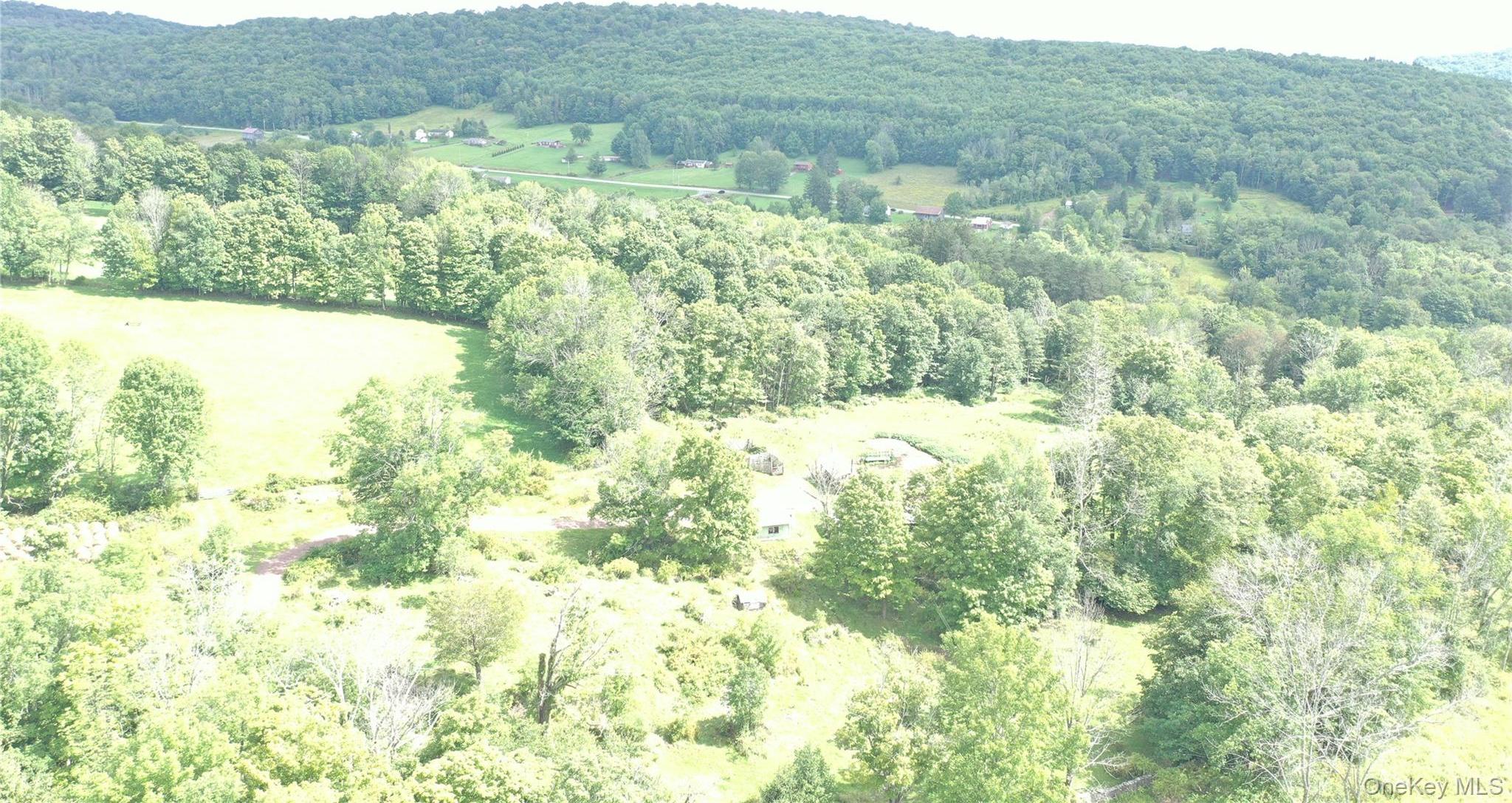 Single Family Frelich Road  Sullivan County, NY 12760, MLS-1043463-2