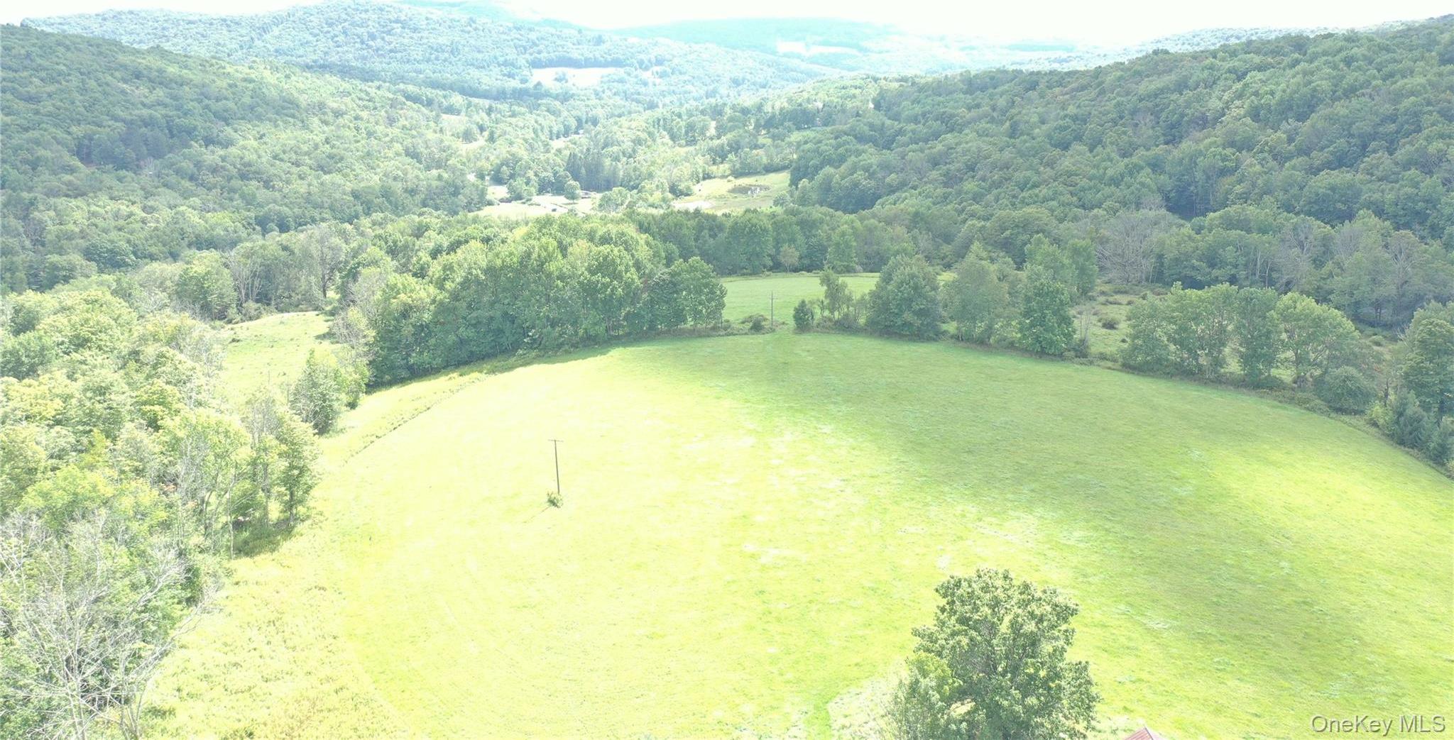 Single Family Frelich Road  Sullivan County, NY 12760, MLS-1043463-3