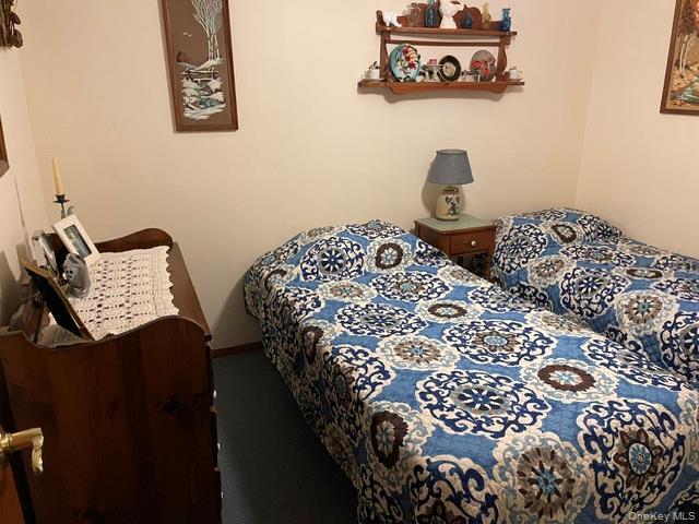 Single Family Frelich Road  Sullivan County, NY 12760, MLS-1043463-30