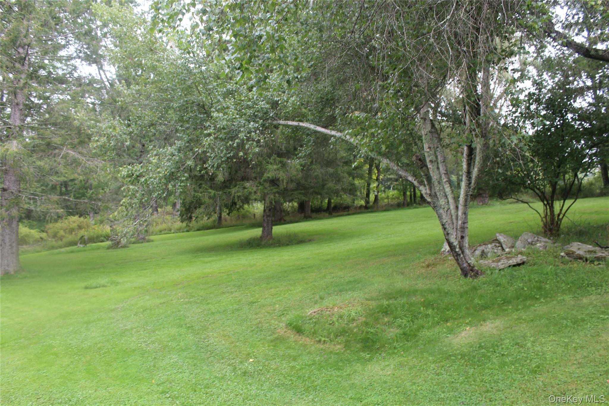 Single Family Frelich Road  Sullivan County, NY 12760, MLS-1043463-6