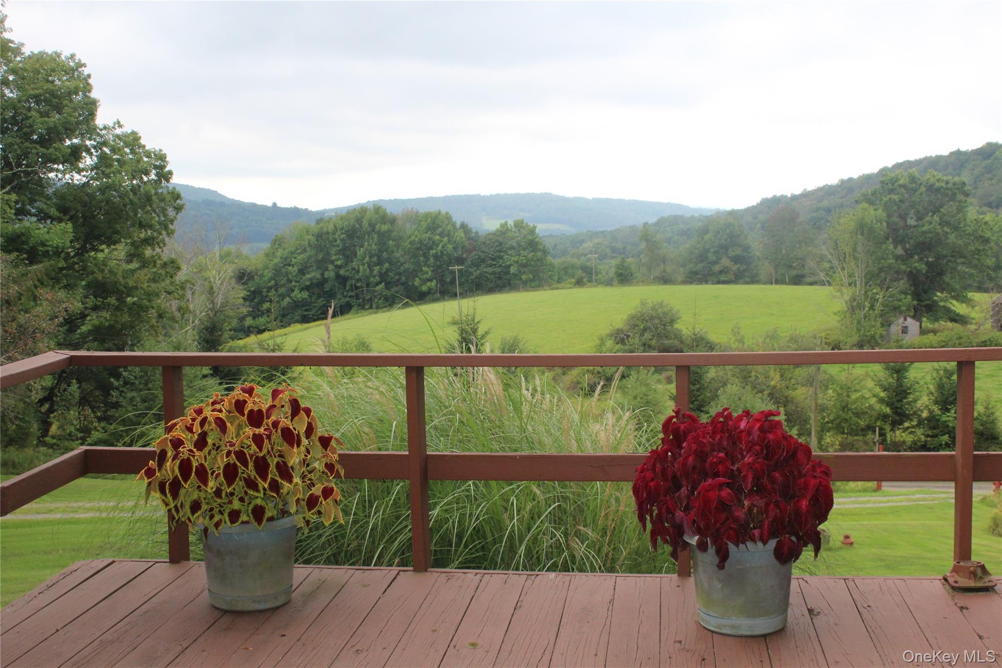 Single Family Frelich Road  Sullivan County, NY 12760, MLS-1043463-9