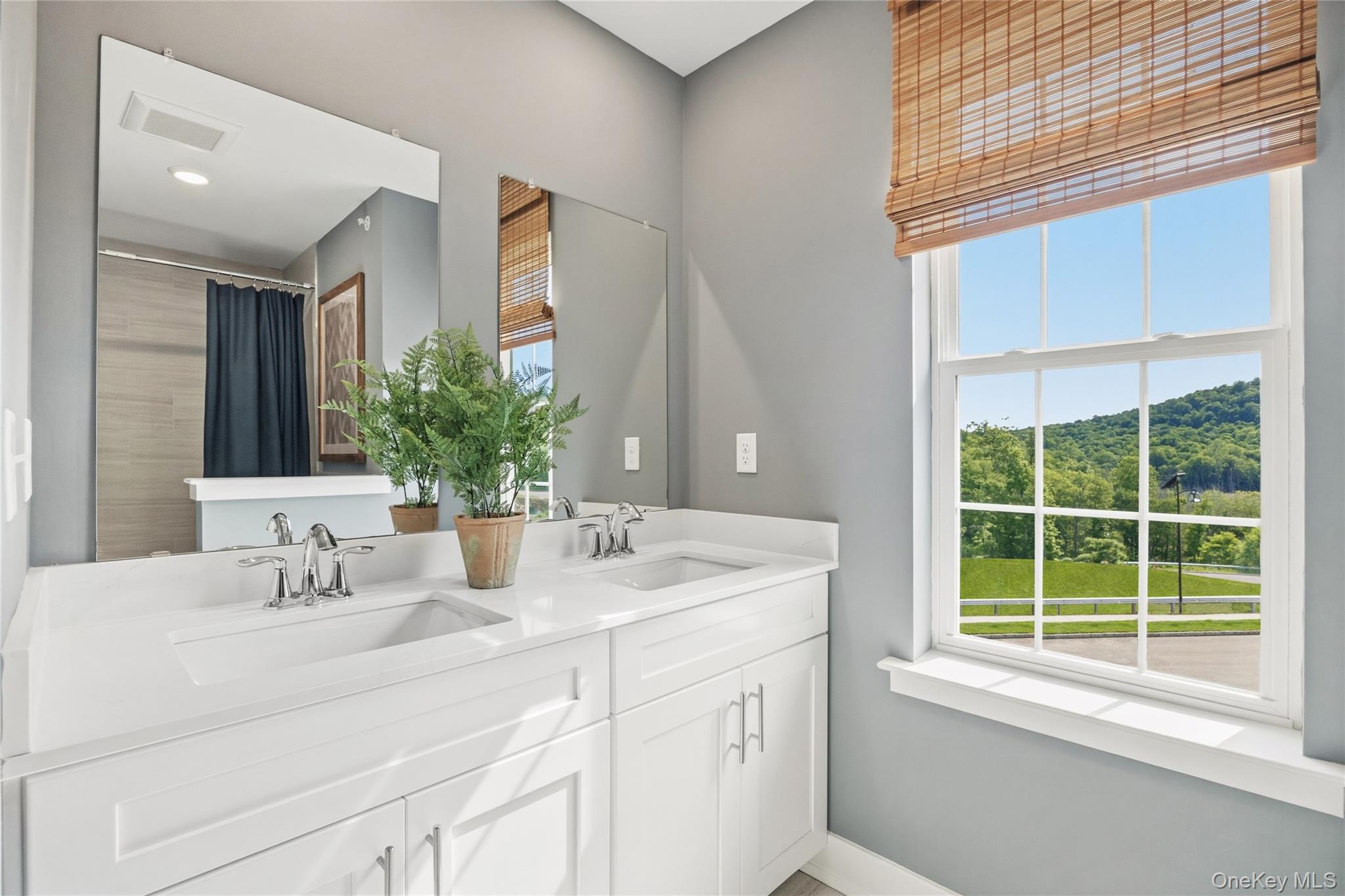 Single Family Pine Ridge Road Orange County, NY 10987, MLS-1043485-18