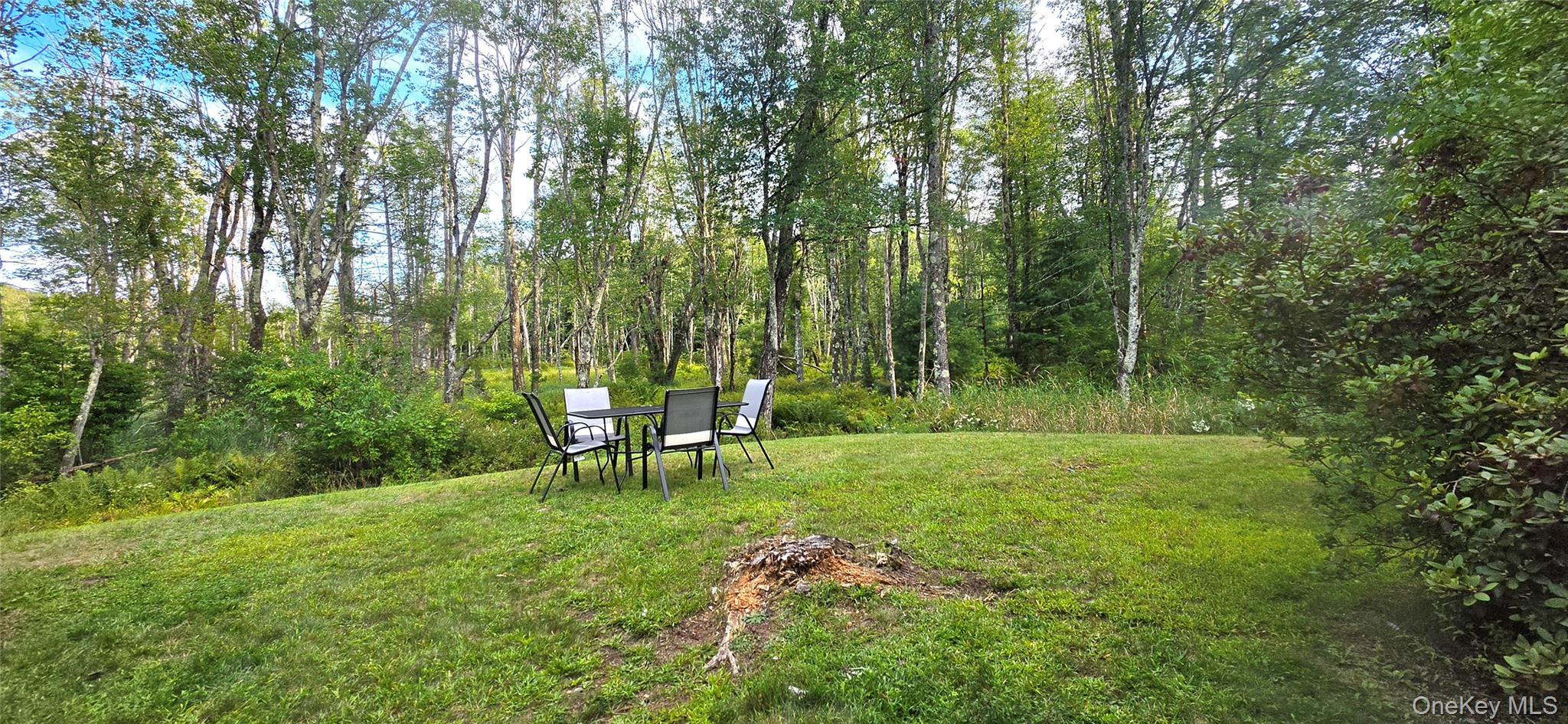 Single Family Peter Way Sullivan County, NY 12751, MLS-1043512-12