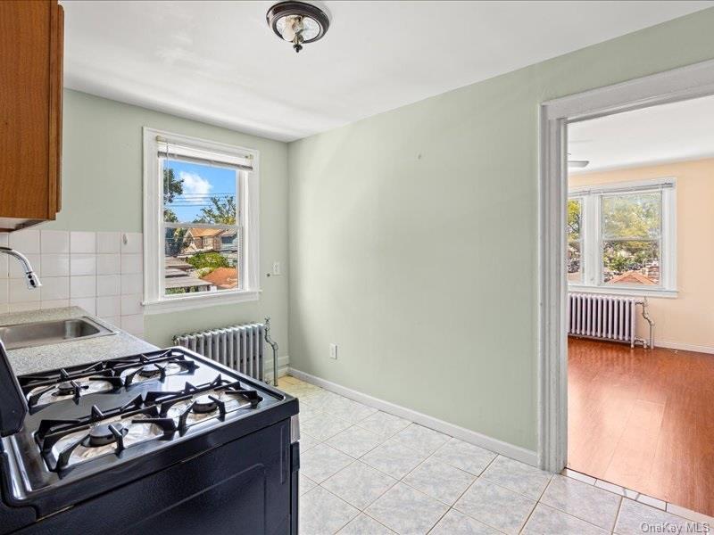 Single Family 111 Queens, NY 11420, MLS-1043548-28