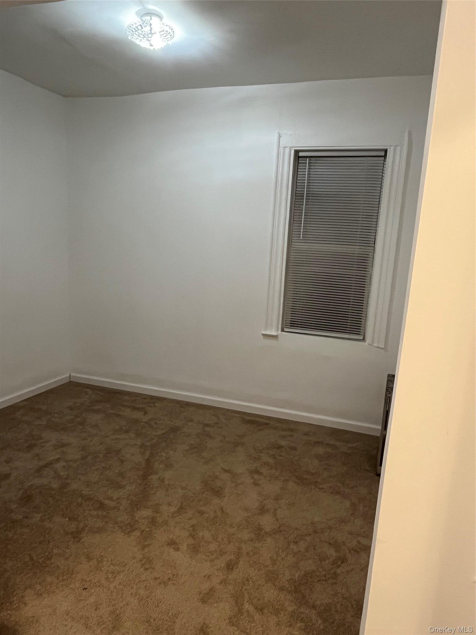 Single Family Hemlock Street  Brooklyn, NY 11208, MLS-1043574-8