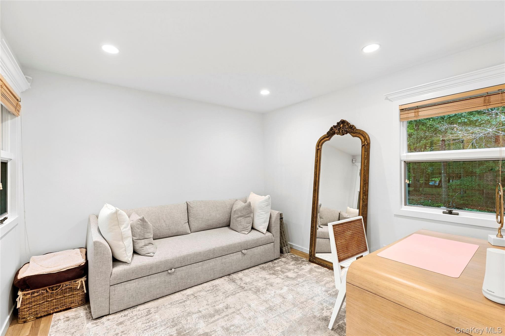 Single Family Pheasant Run  Suffolk County, NY 11959, MLS-1043577-11