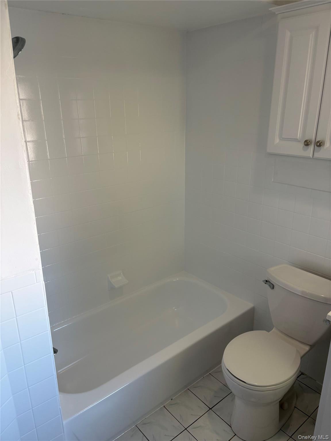 Single Family Lenox Avenue Nassau County, NY 11554, MLS-1043594-11
