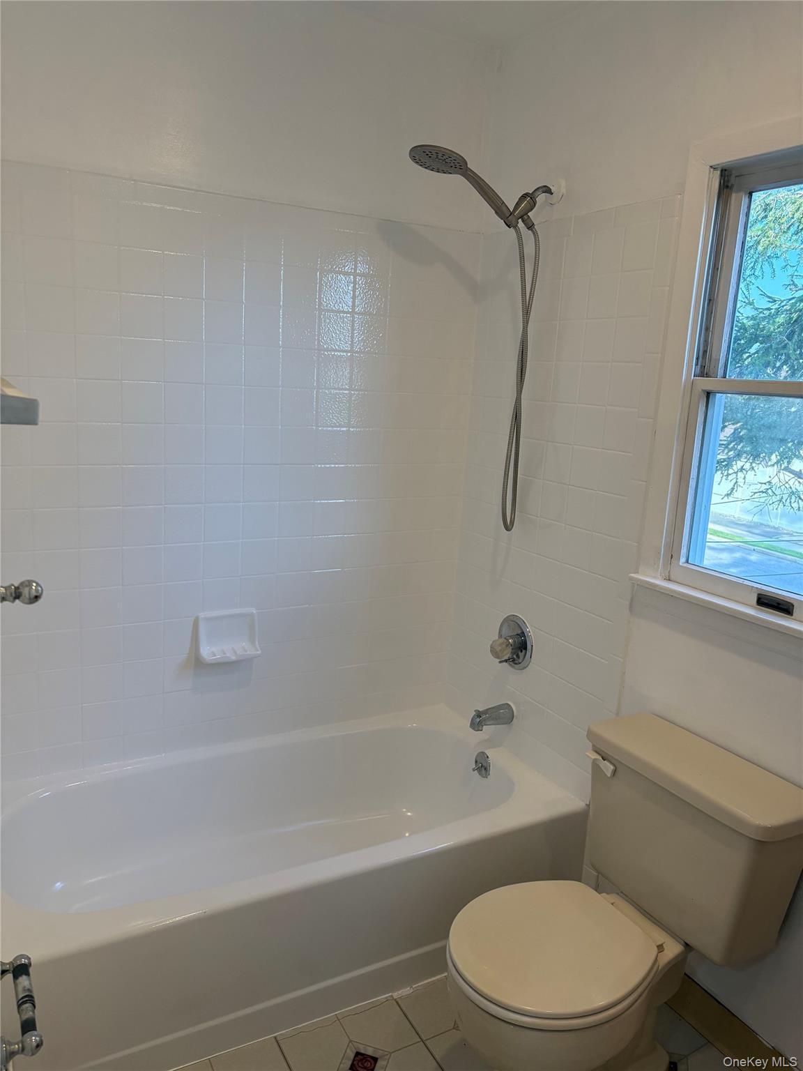 Single Family Lenox Avenue Nassau County, NY 11554, MLS-1043594-28