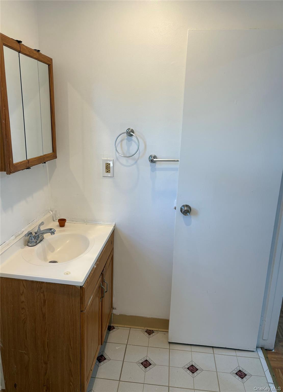 Single Family Lenox Avenue Nassau County, NY 11554, MLS-1043594-29