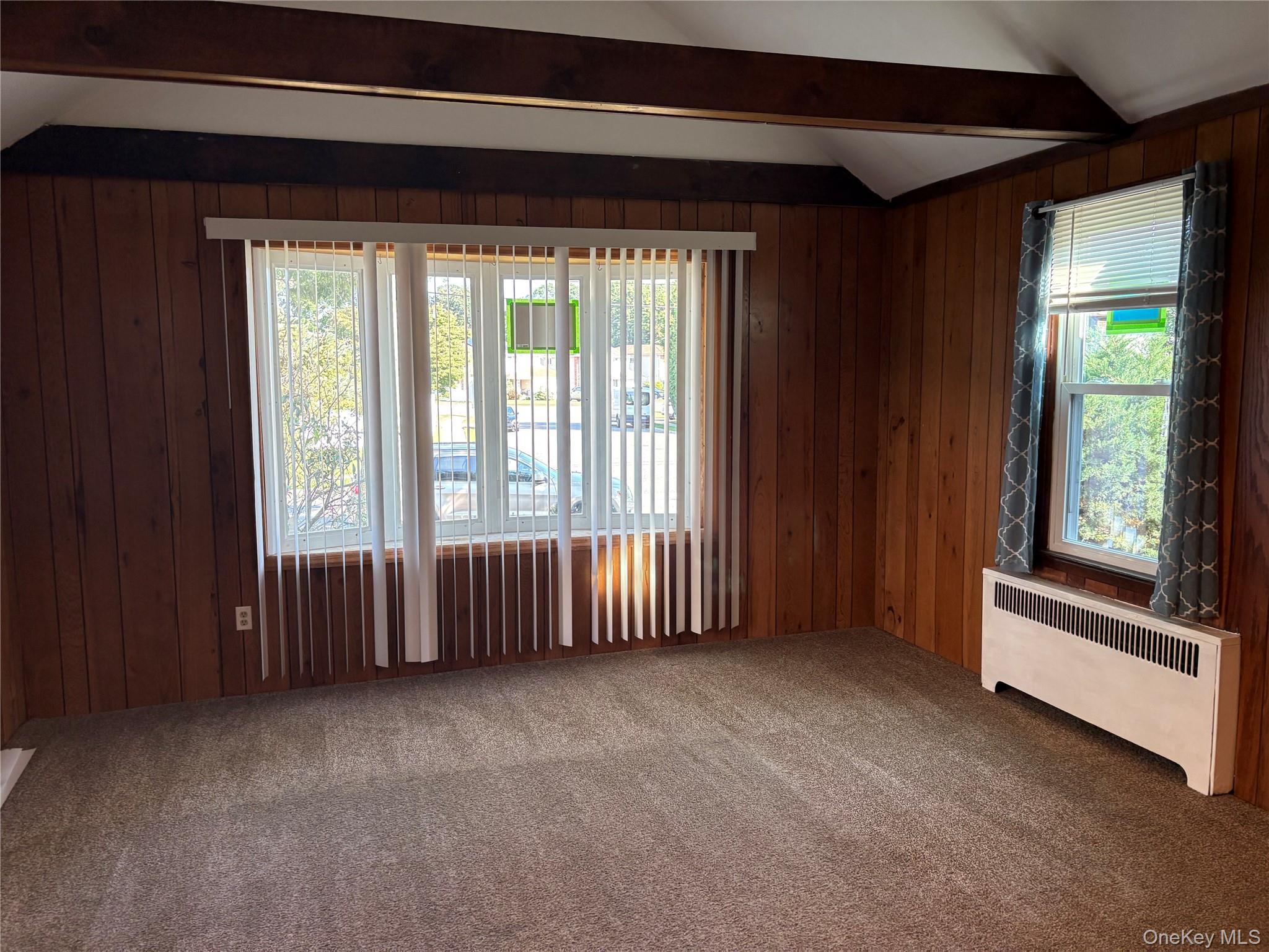 Single Family Lenox Avenue Nassau County, NY 11554, MLS-1043594-5