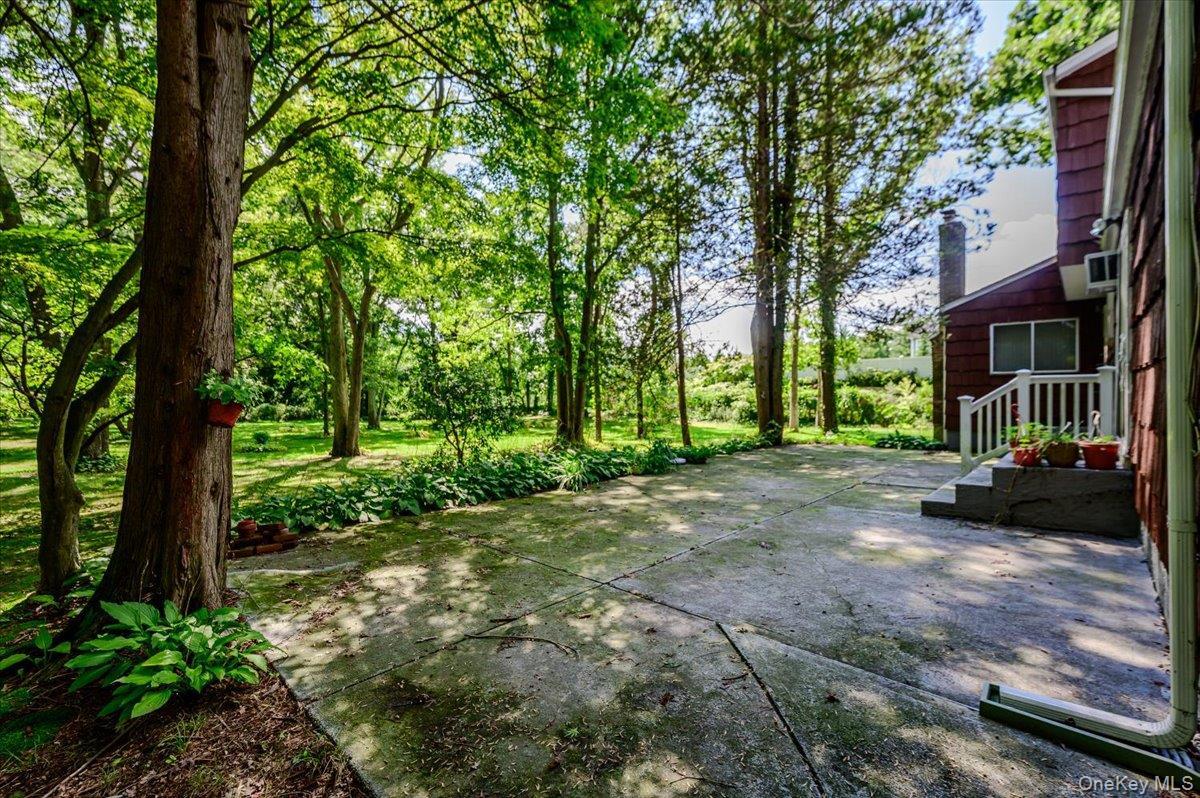 Single Family E Half Hollow Road Suffolk County, NY 11746, MLS-1043601-36
