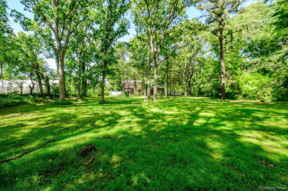 Single Family E Half Hollow Road Suffolk County, NY 11746, MLS-1043601-38
