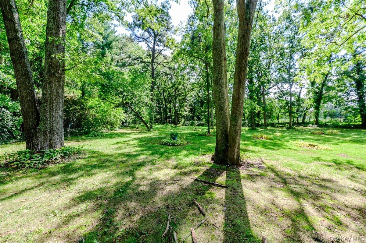 Single Family E Half Hollow Road Suffolk County, NY 11746, MLS-1043601-39