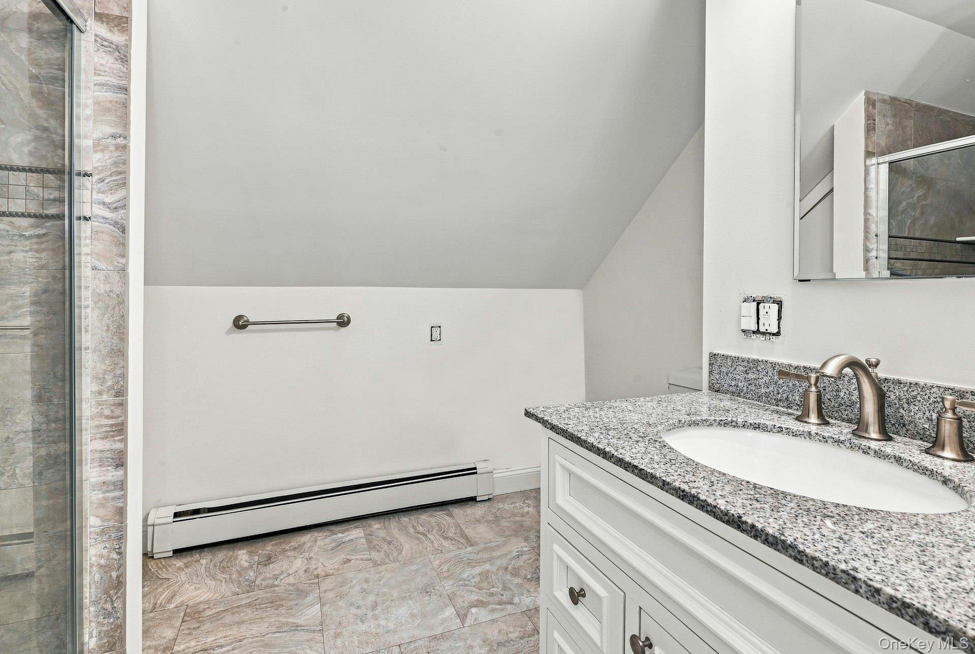 Single Family Birch Lane  Nassau County, NY 11756, MLS-1043633-17