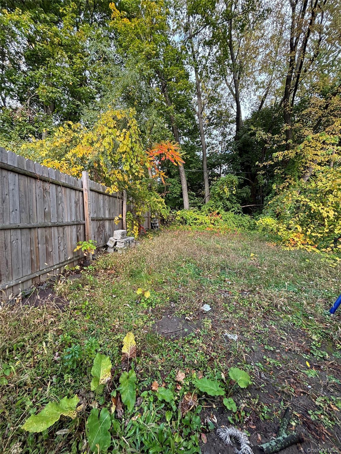 Single Family Clinton Avenue Albany County, NY 12210, MLS-1043640-26