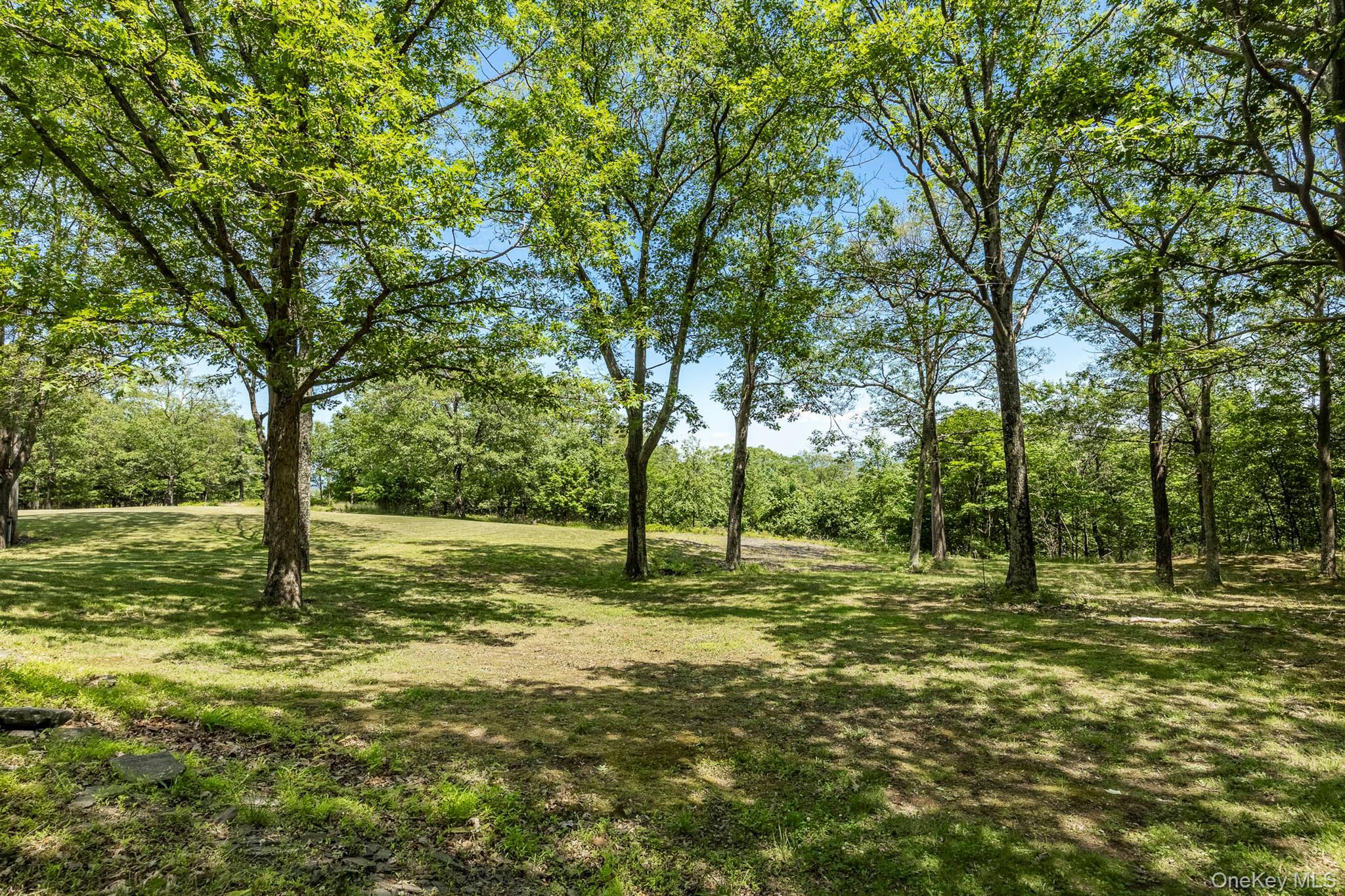 Single Family Manorville Road  Ulster County, NY 12477, MLS-1043702-36