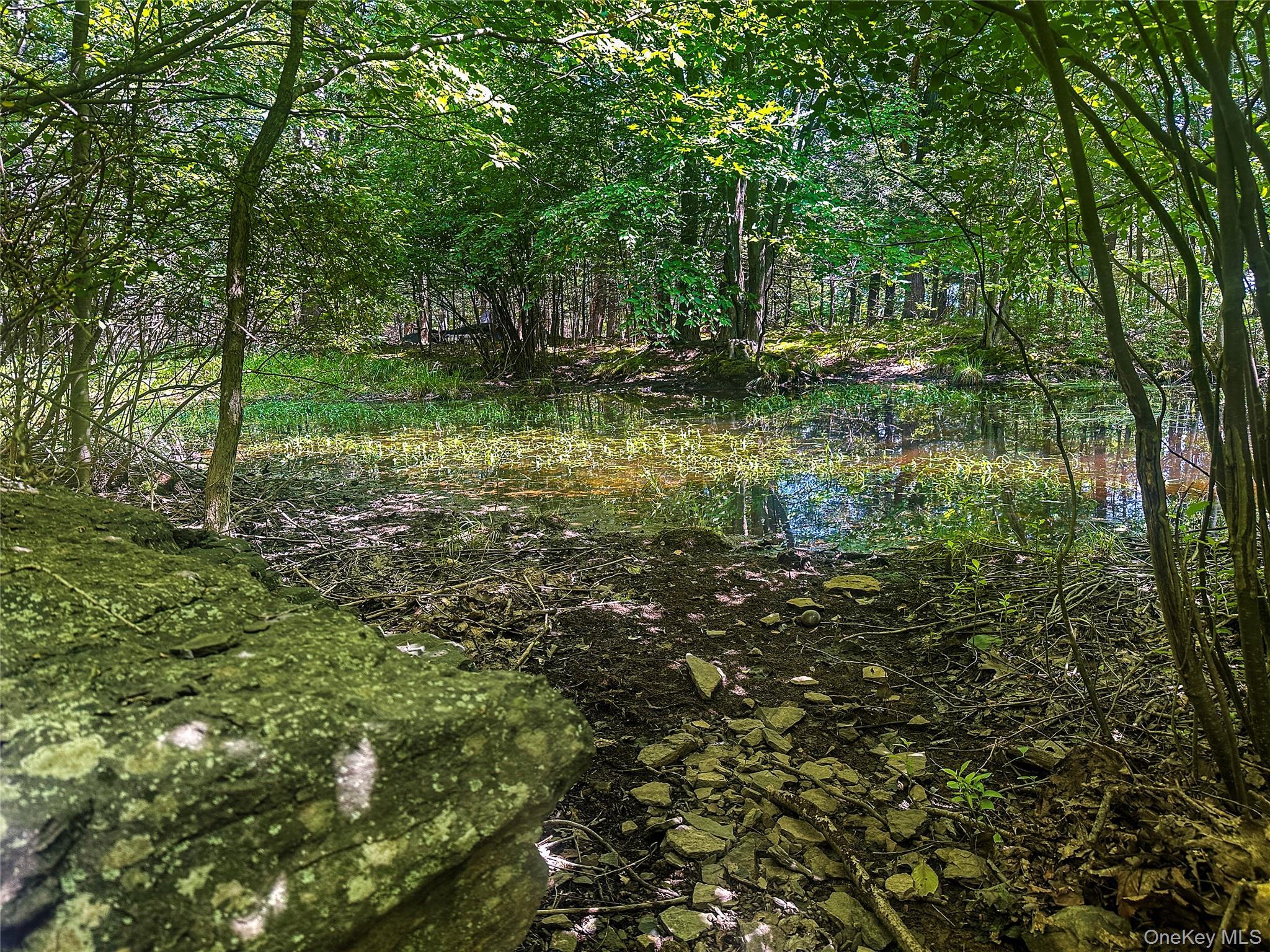 Single Family Manorville Road  Ulster County, NY 12477, MLS-1043702-39