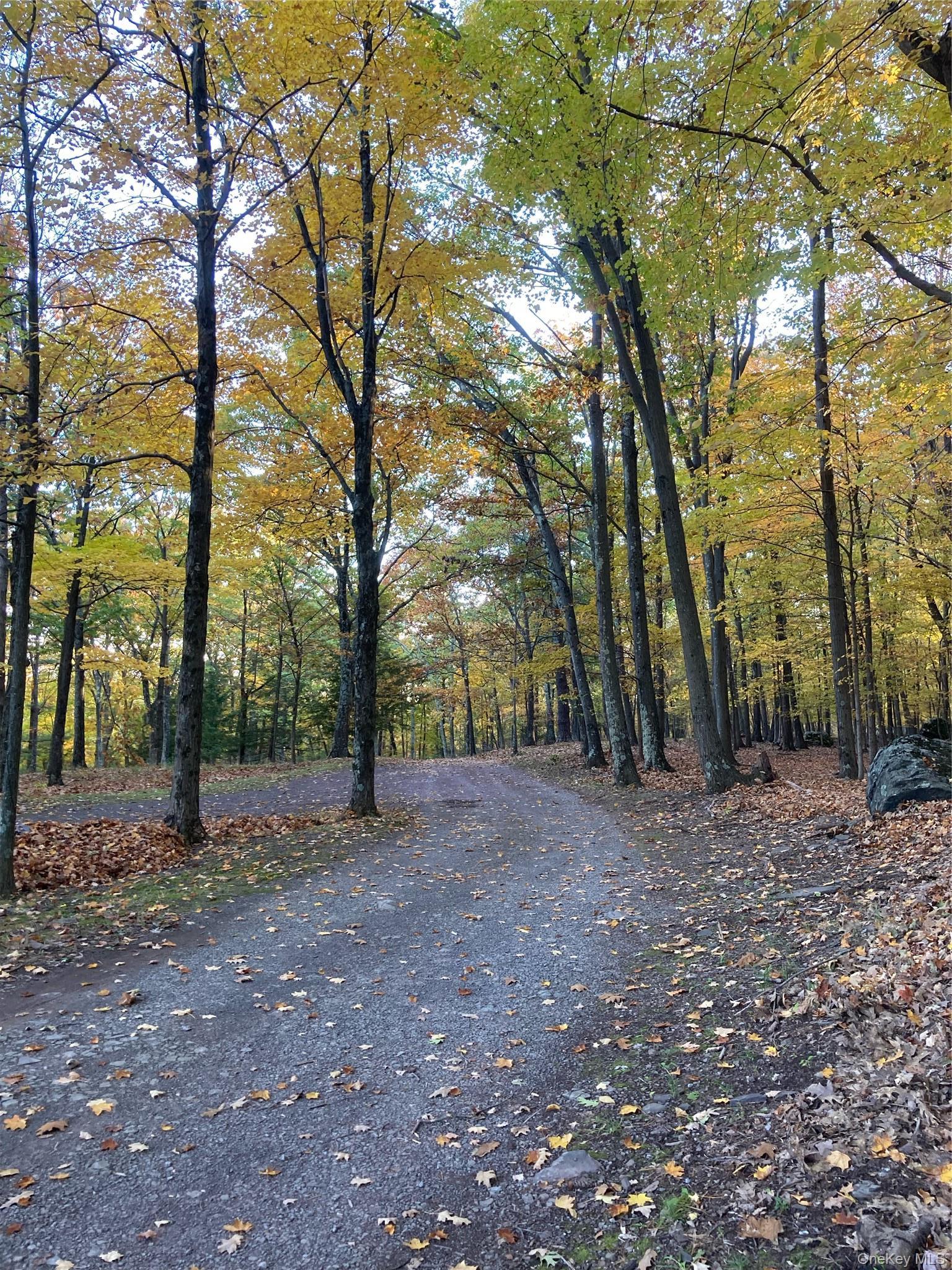 Single Family Manorville Road  Ulster County, NY 12477, MLS-1043702-40